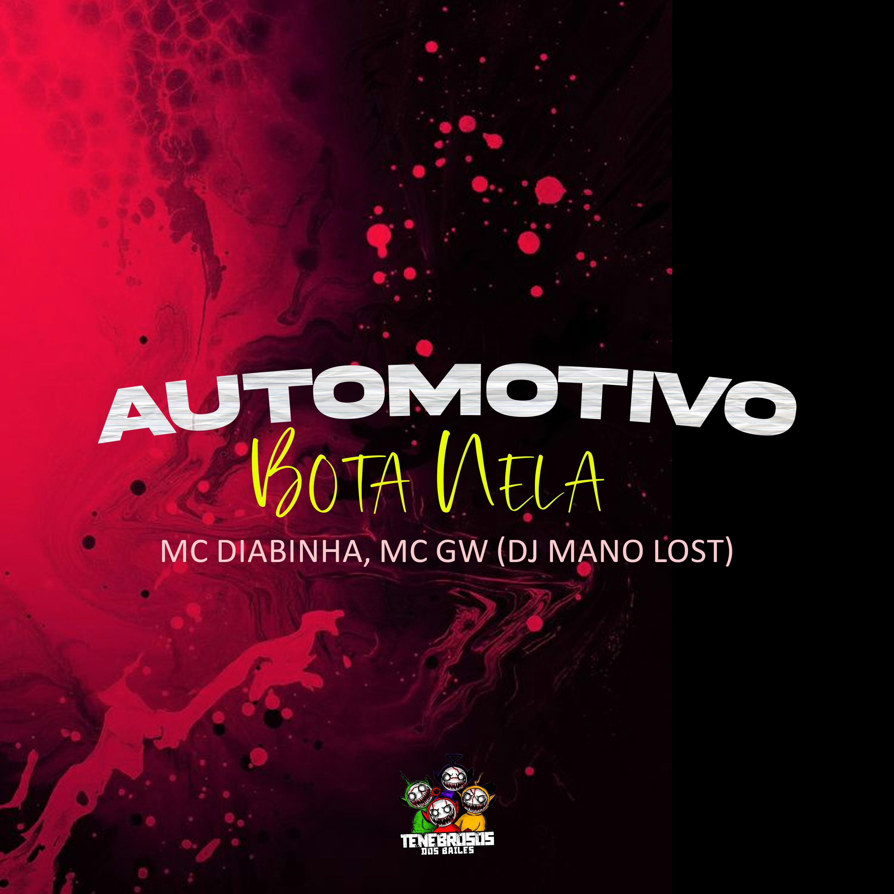 Постер альбома Automotivo Bota Nela