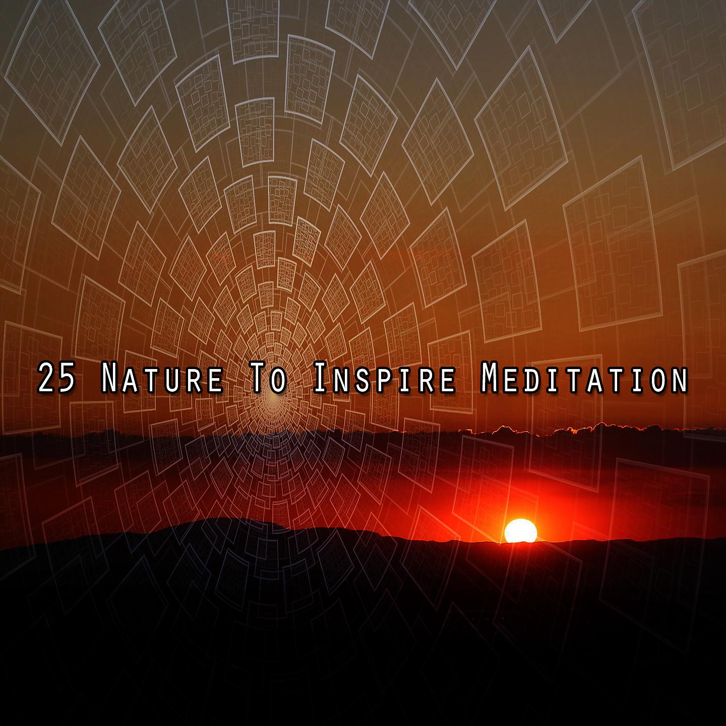 Постер альбома 25 Природа, чтобы вдохновить медитацию