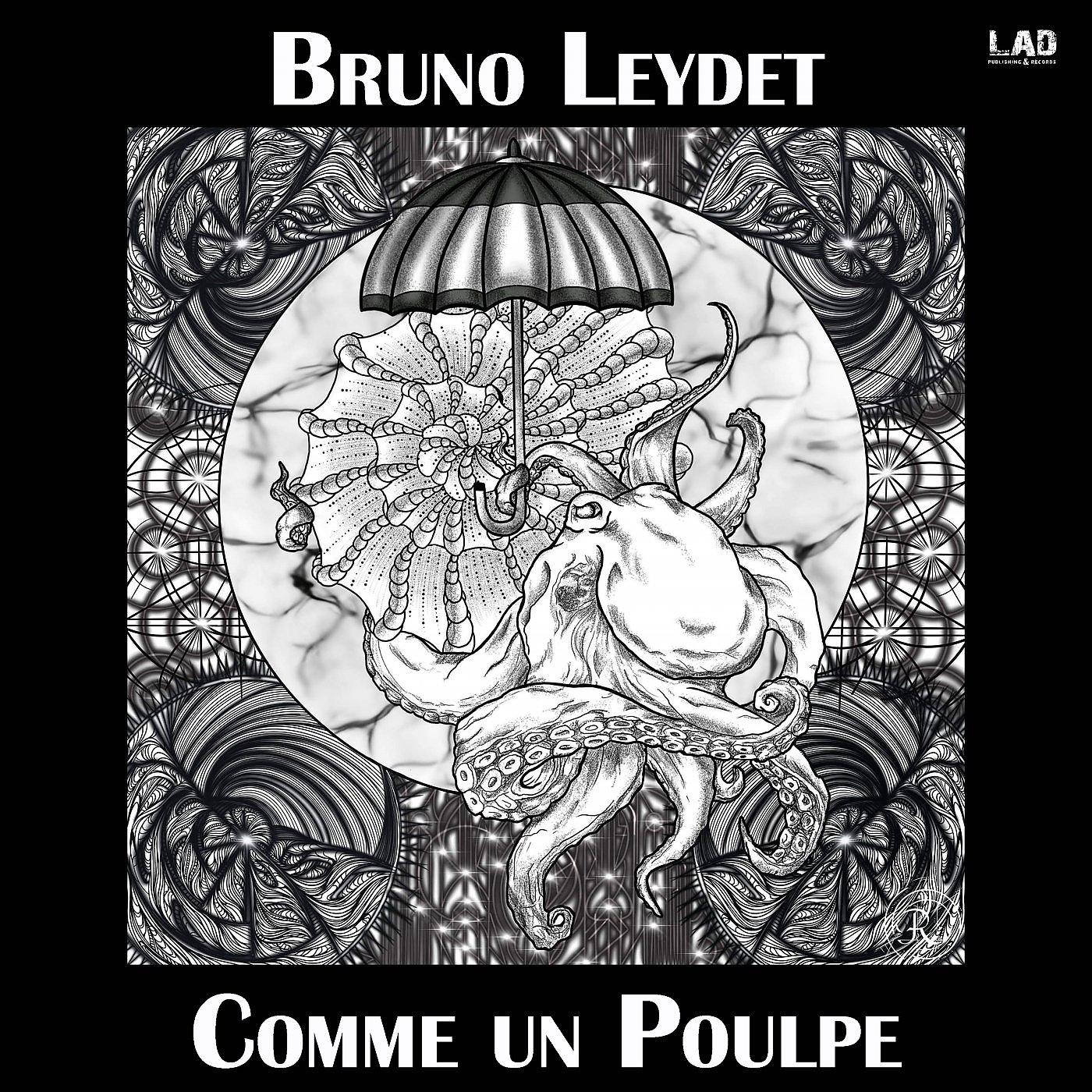 Постер альбома Comme Un Poulpe