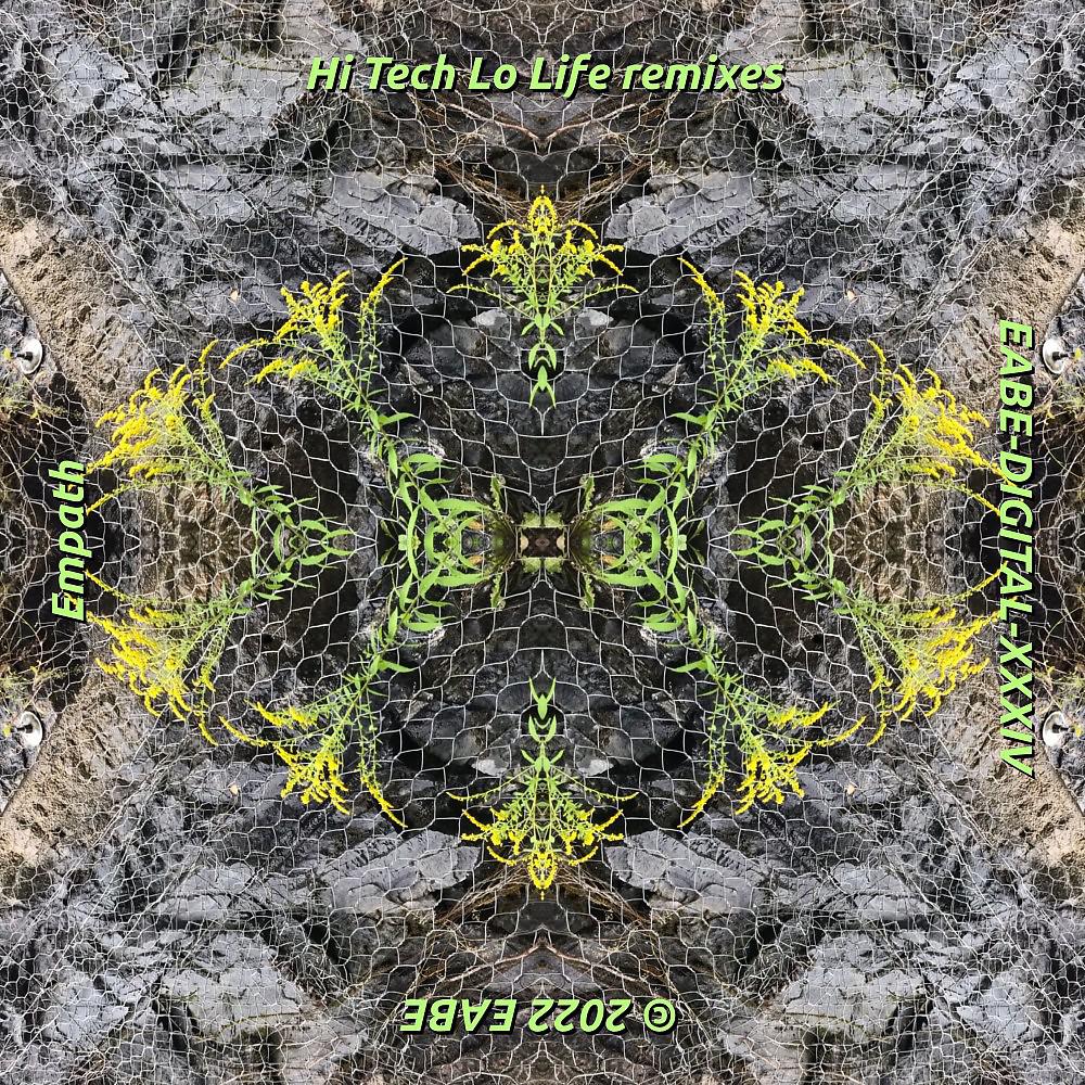 Постер альбома Hi Tech Lo Life Remixes