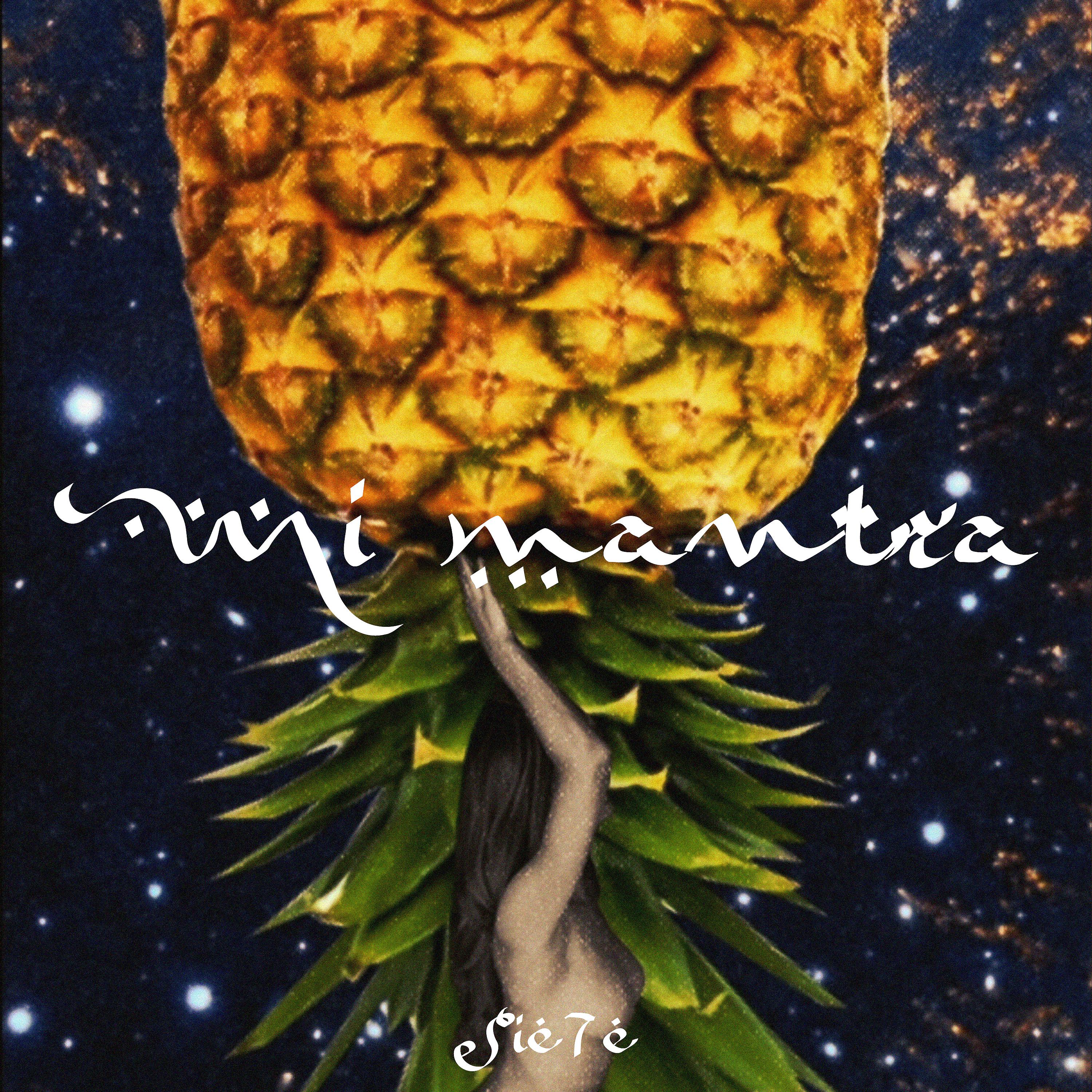 Постер альбома Mi Mantra