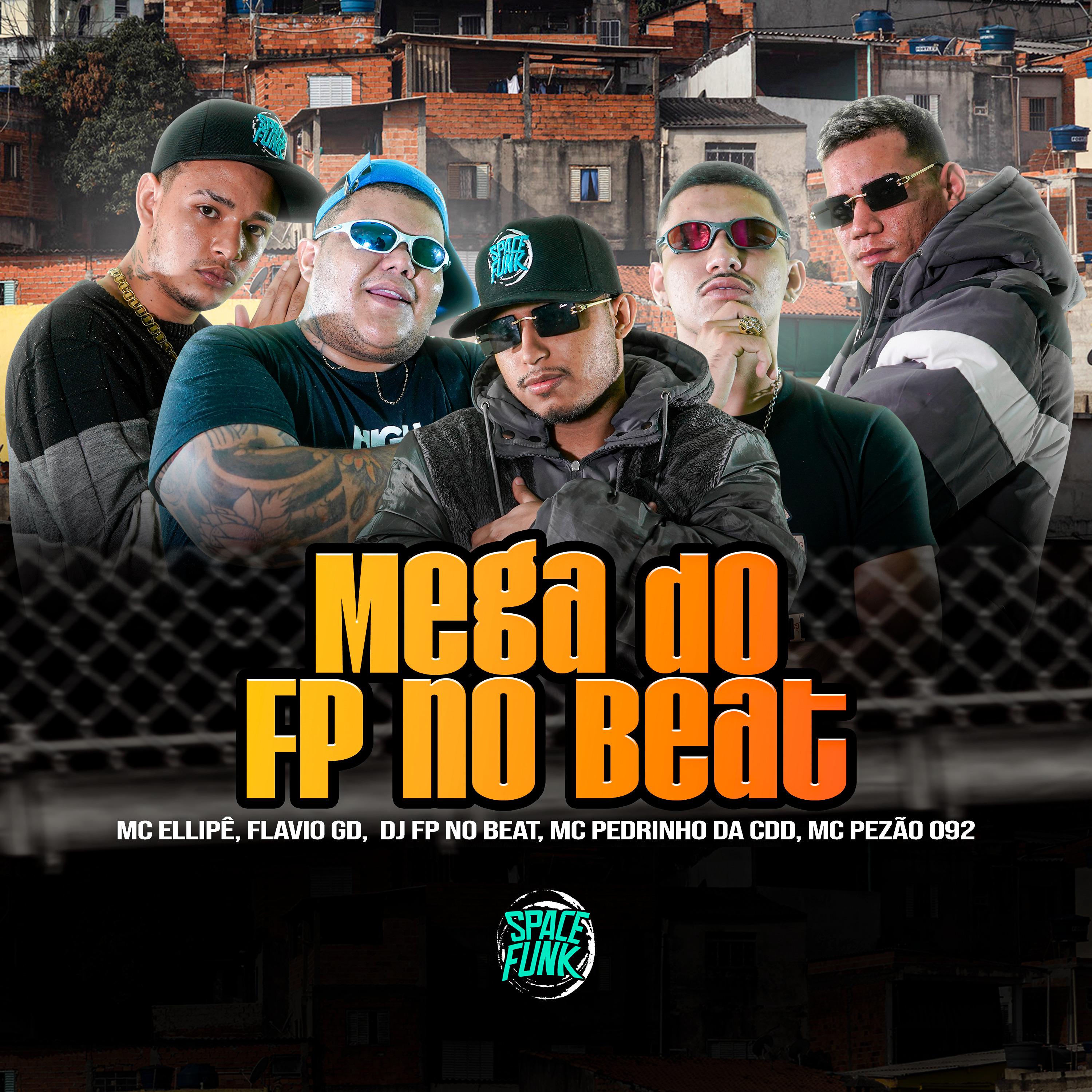 Постер альбома Mega do Fp no Beat