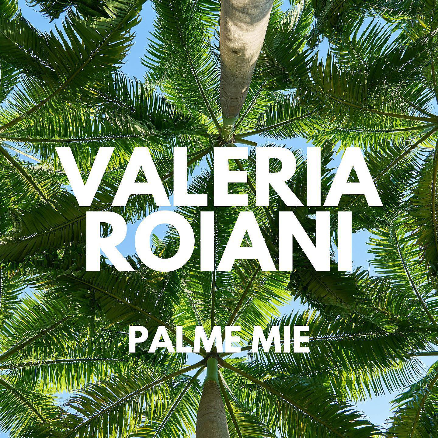 Постер альбома Palme Mie