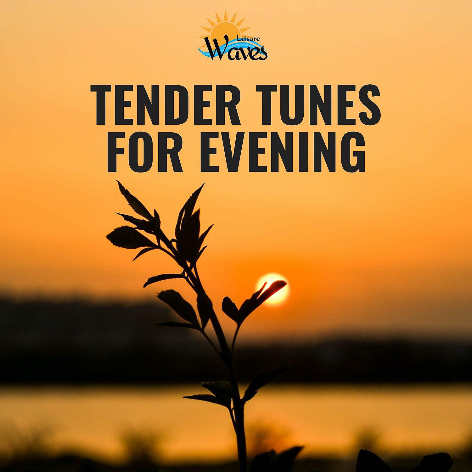 Постер альбома Tender Tunes for Evening