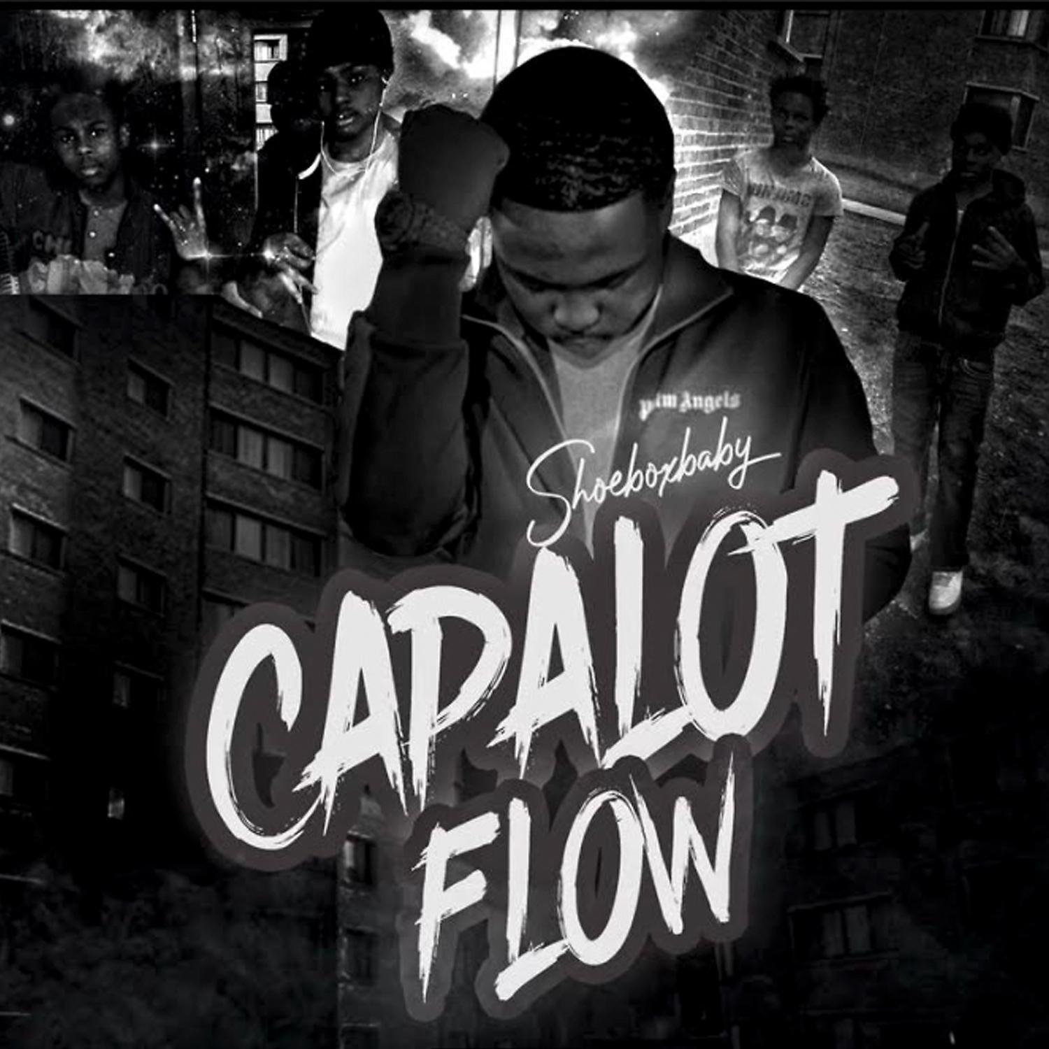 Постер альбома Capalot Flow