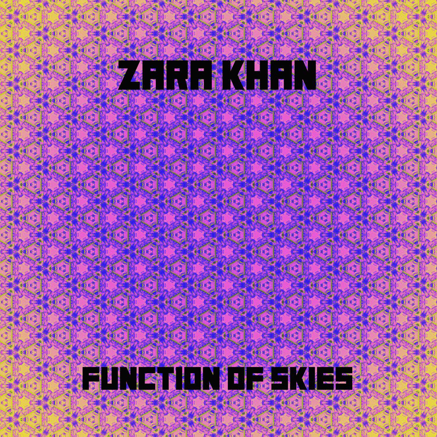 Постер альбома Function Of Skies