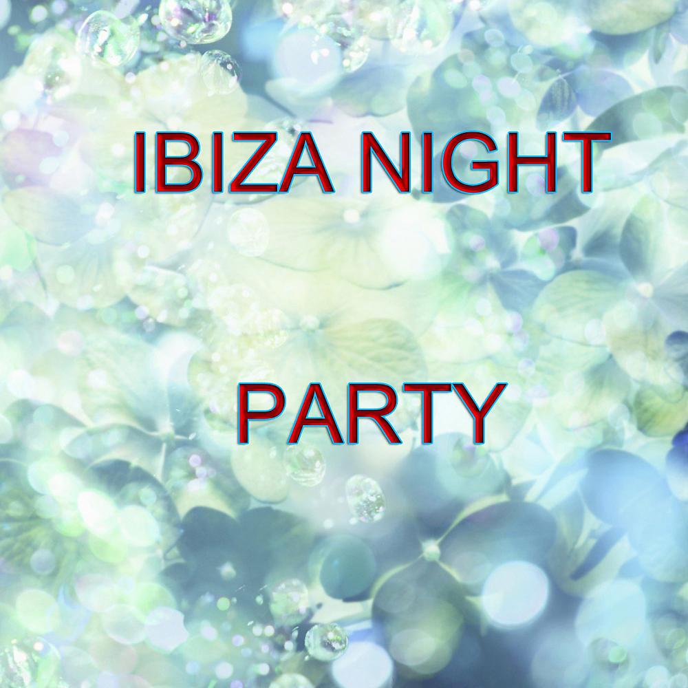 Постер альбома Ibiza Night Party