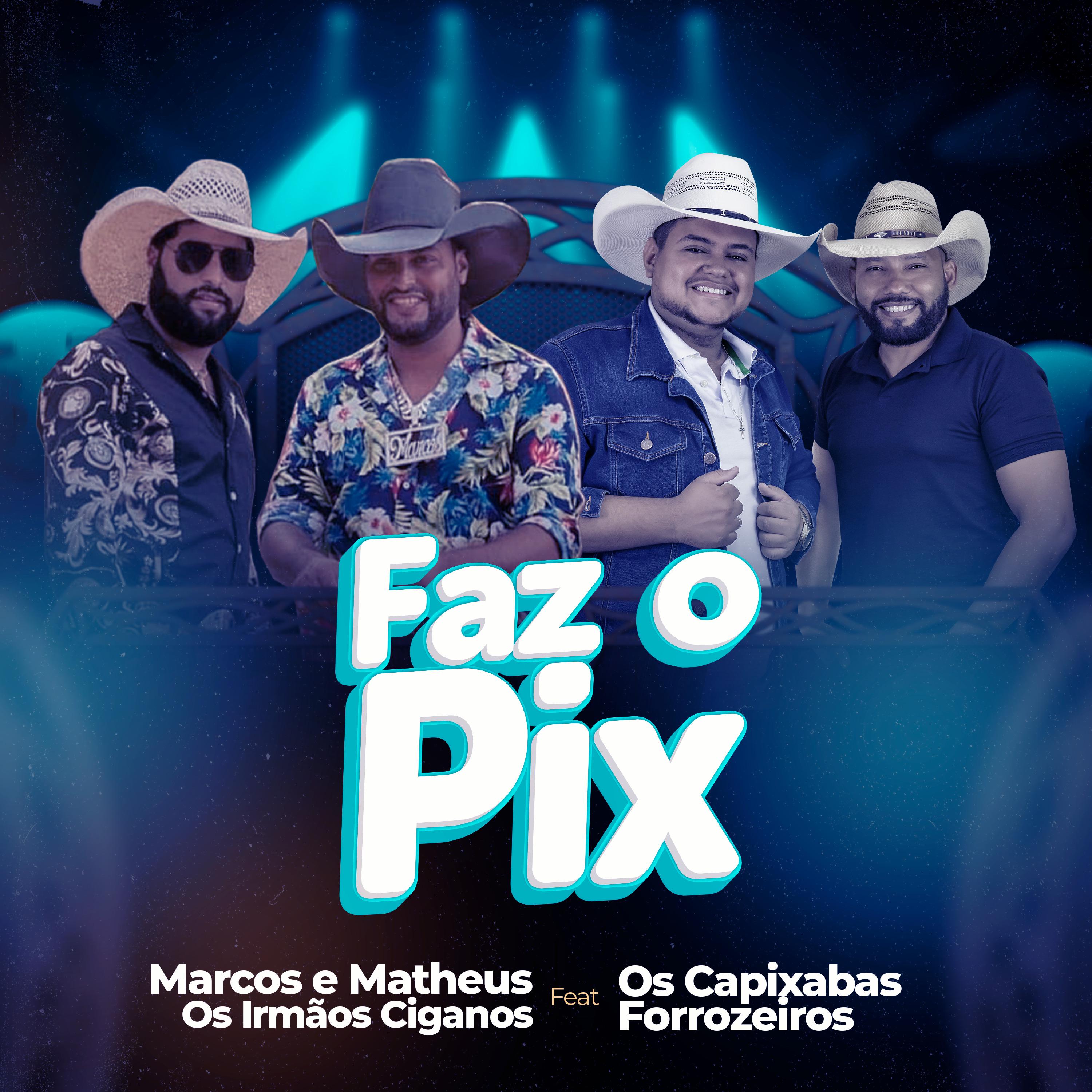 Постер альбома Faz o Pix