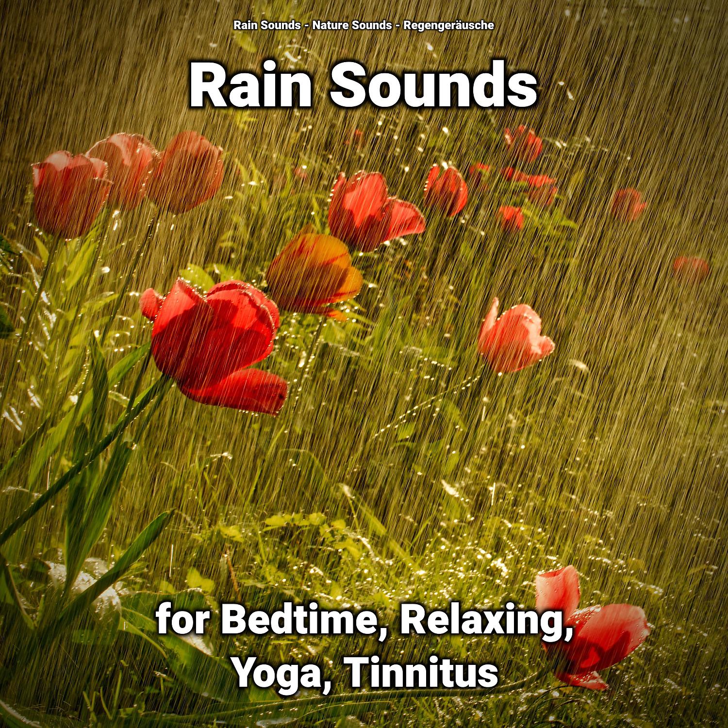 Постер альбома Rain Sounds for Bedtime, Relaxing, Yoga, Tinnitus