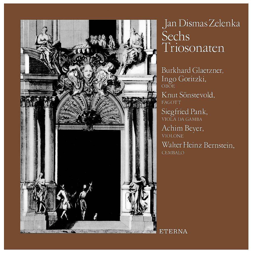 Постер альбома Zelenka: Sechs Triosonaten