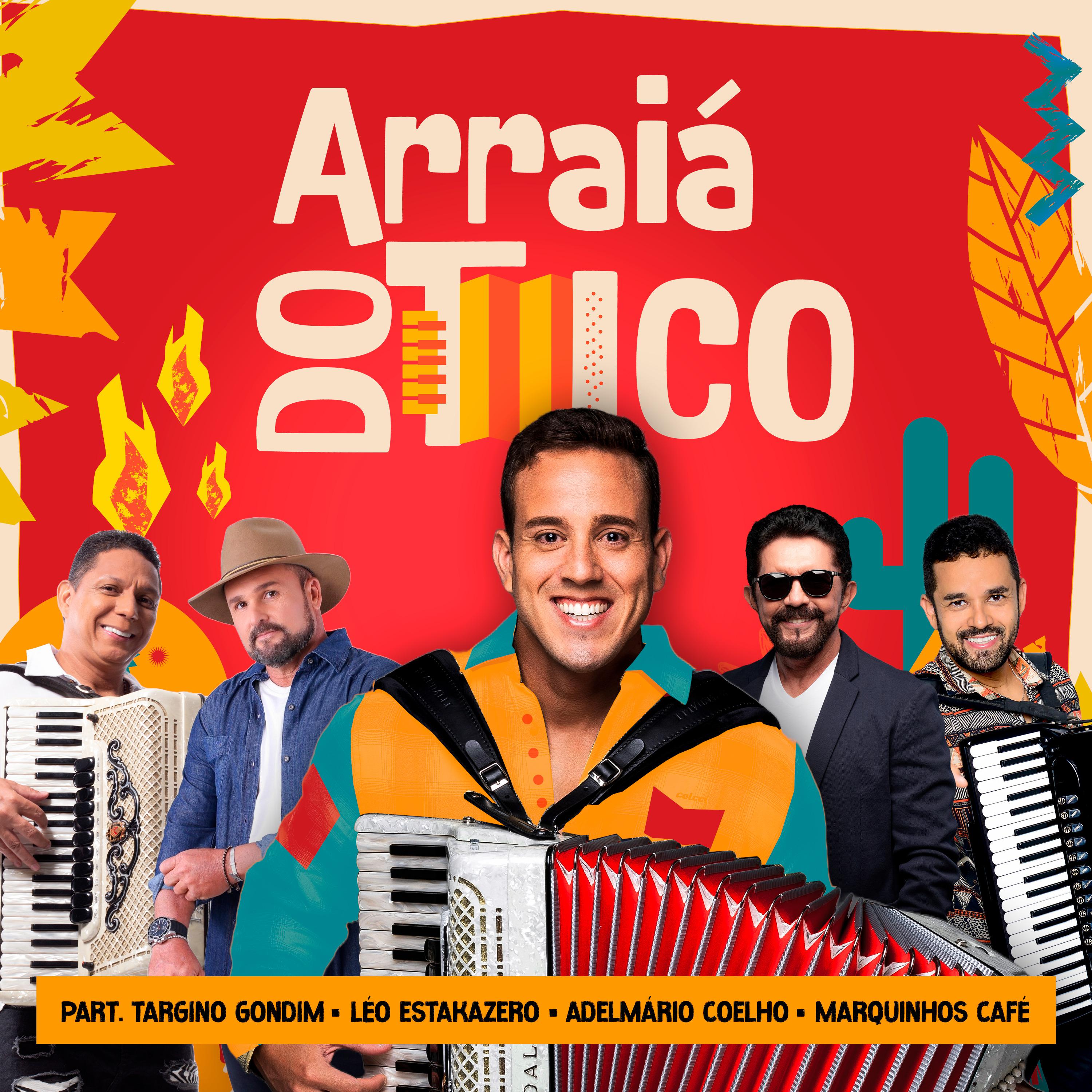 Постер альбома Arraiá do Tico