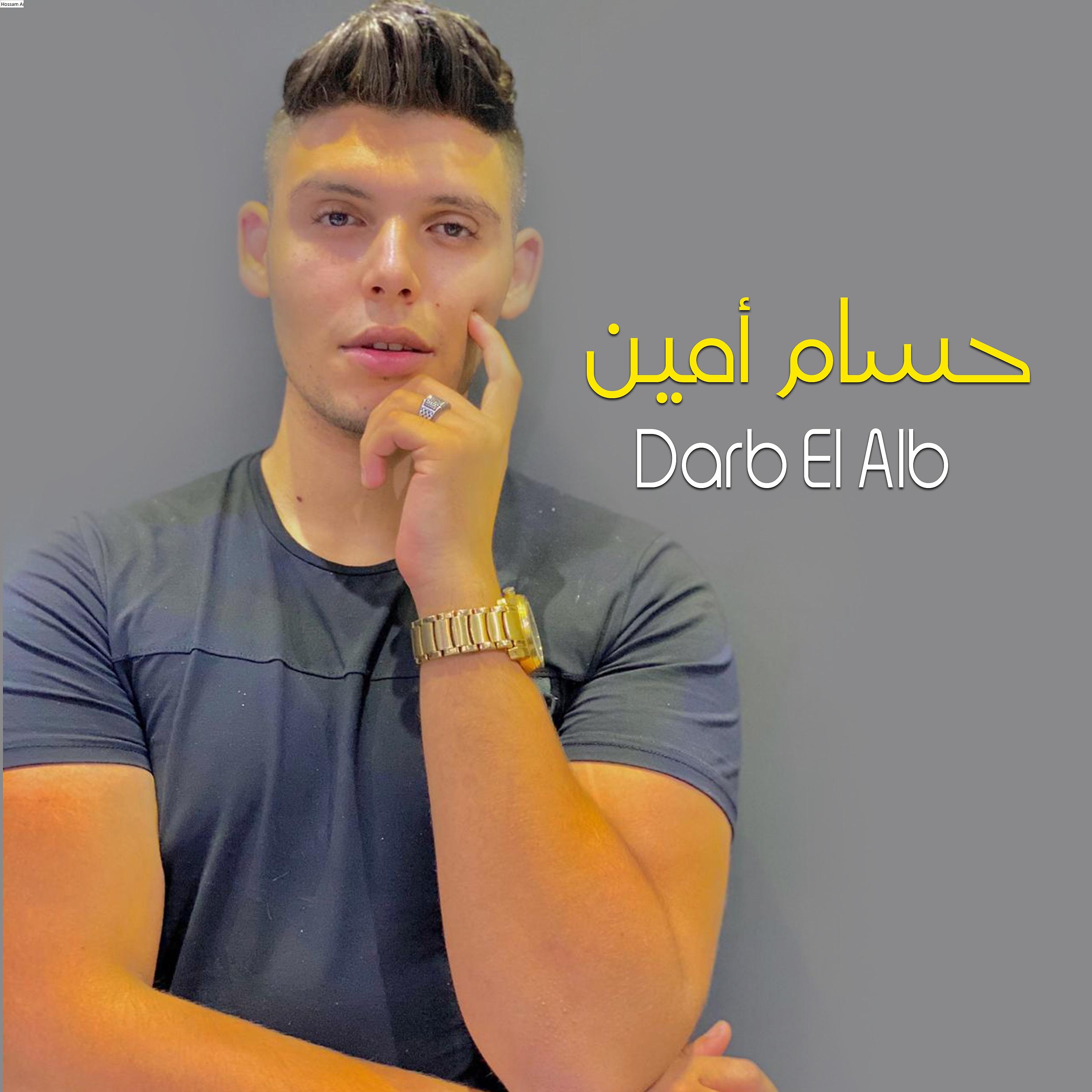 Постер альбома Darb El Alb
