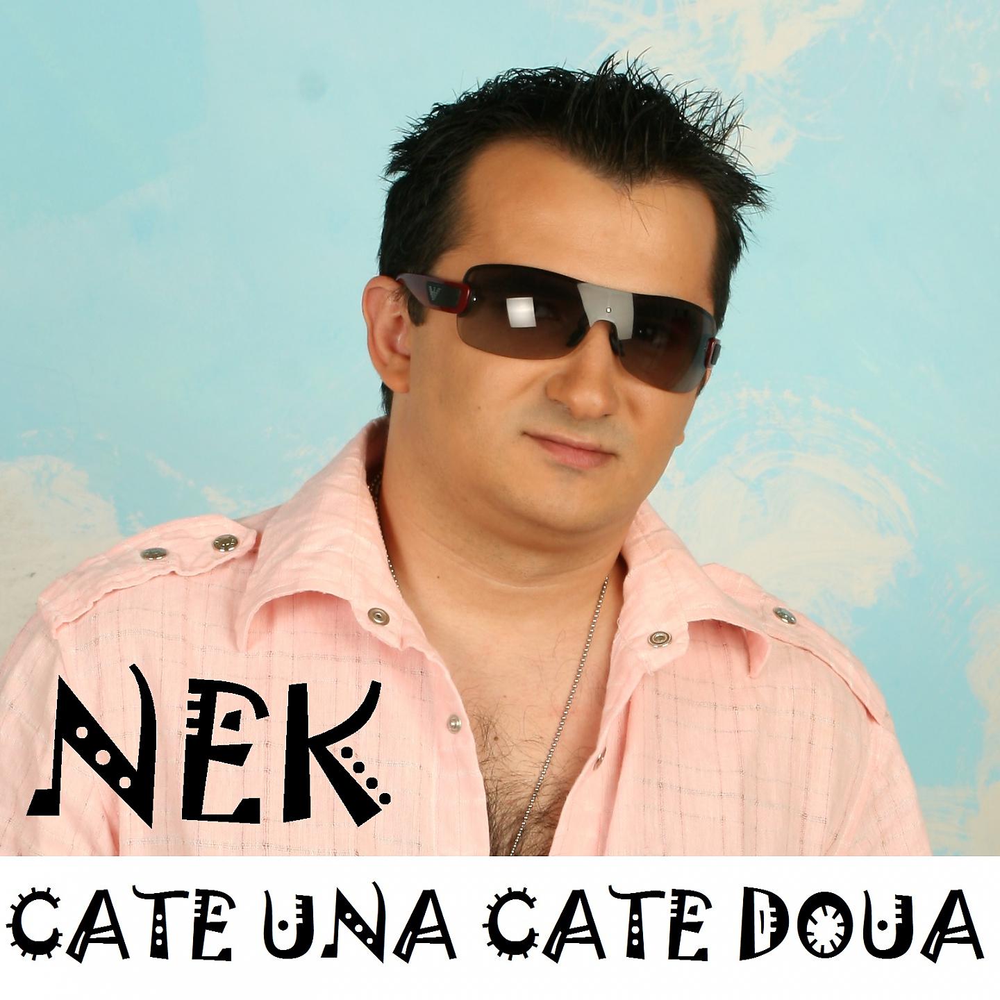 Постер альбома Cate Una Cate Doua