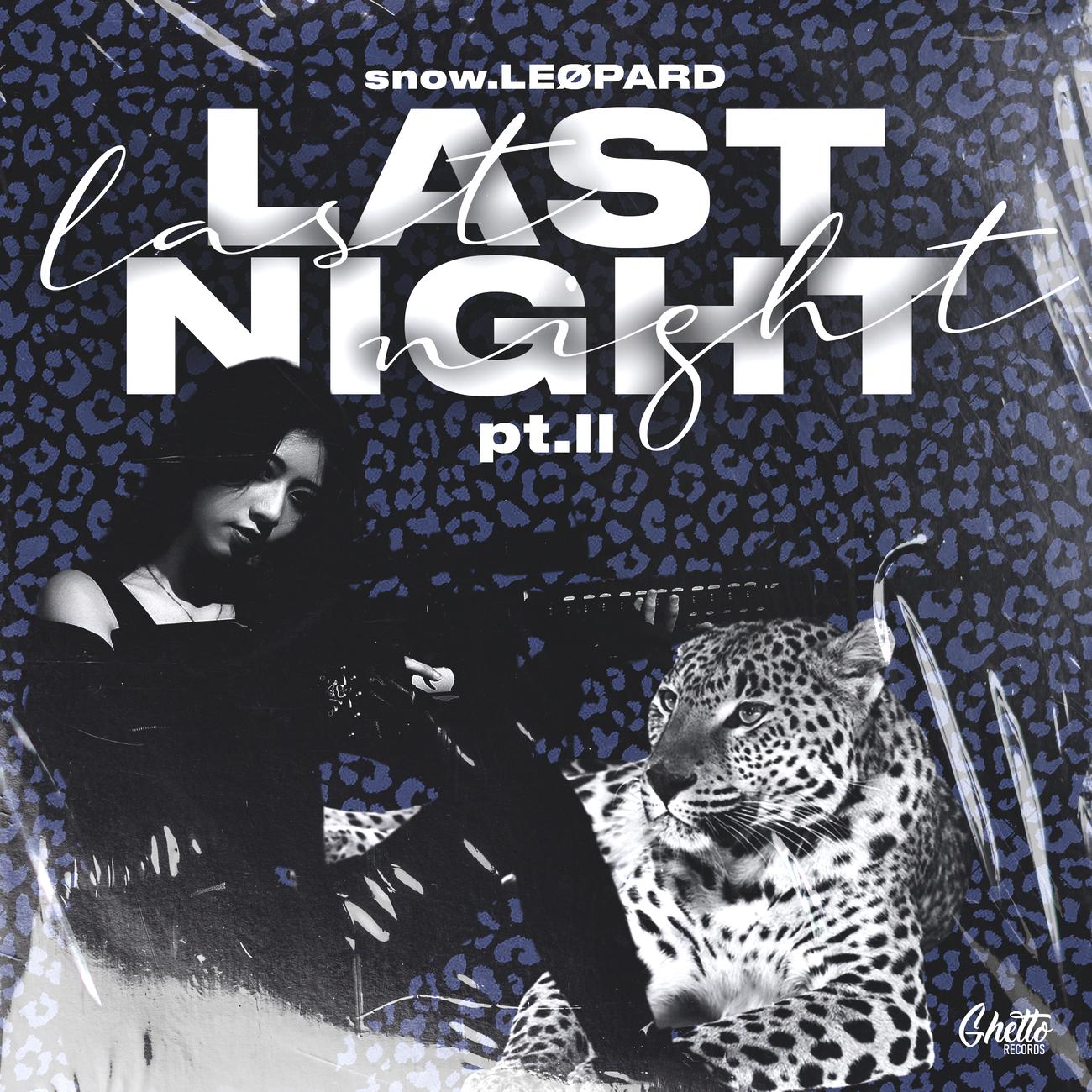 Постер альбома Last Night pt. II