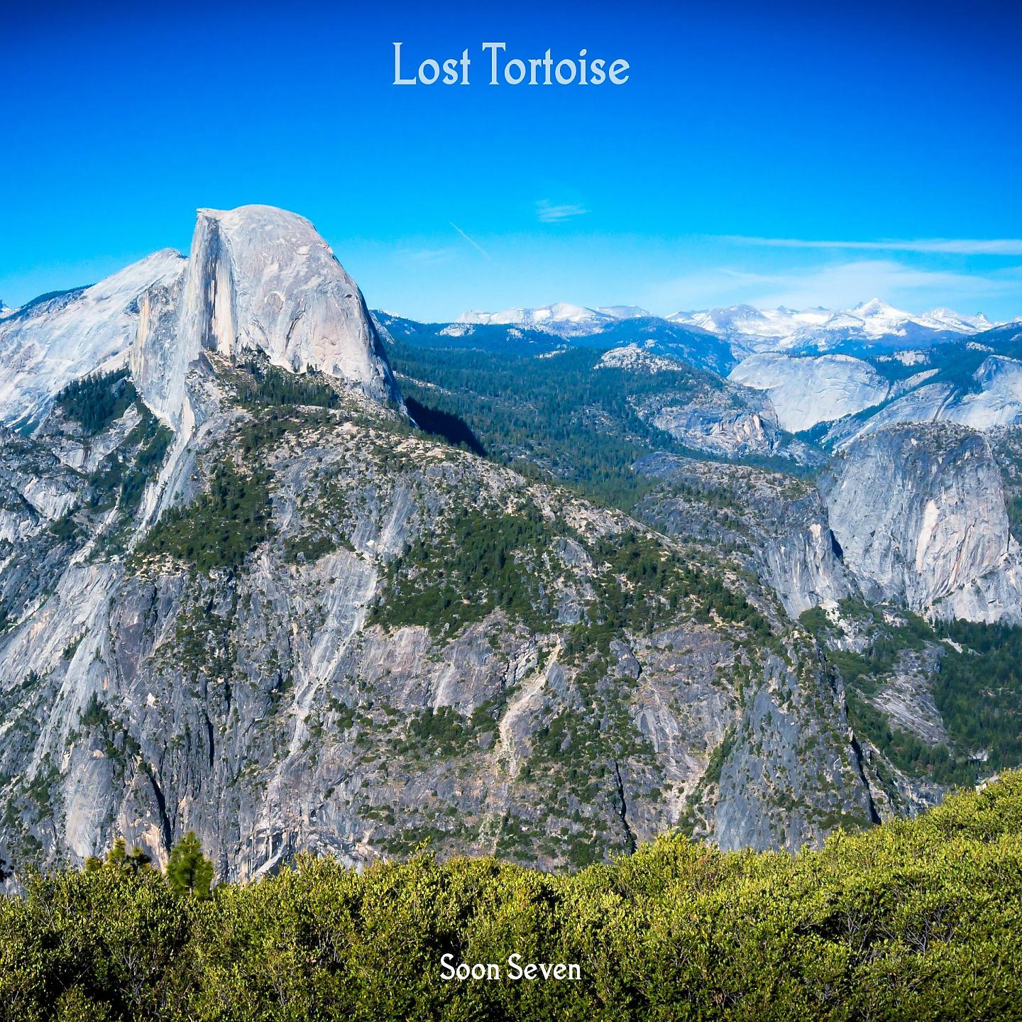 Постер альбома Lost Tortoise