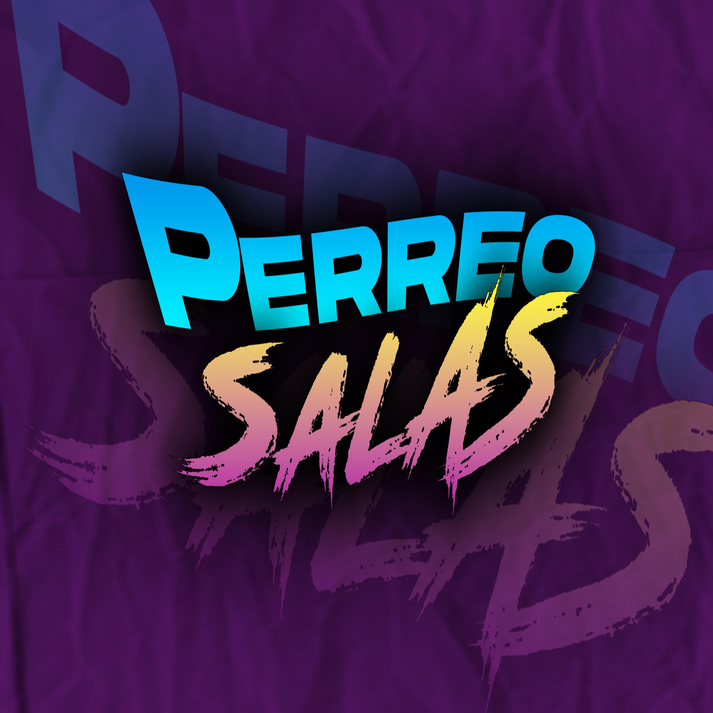 Постер альбома Perreo Salas