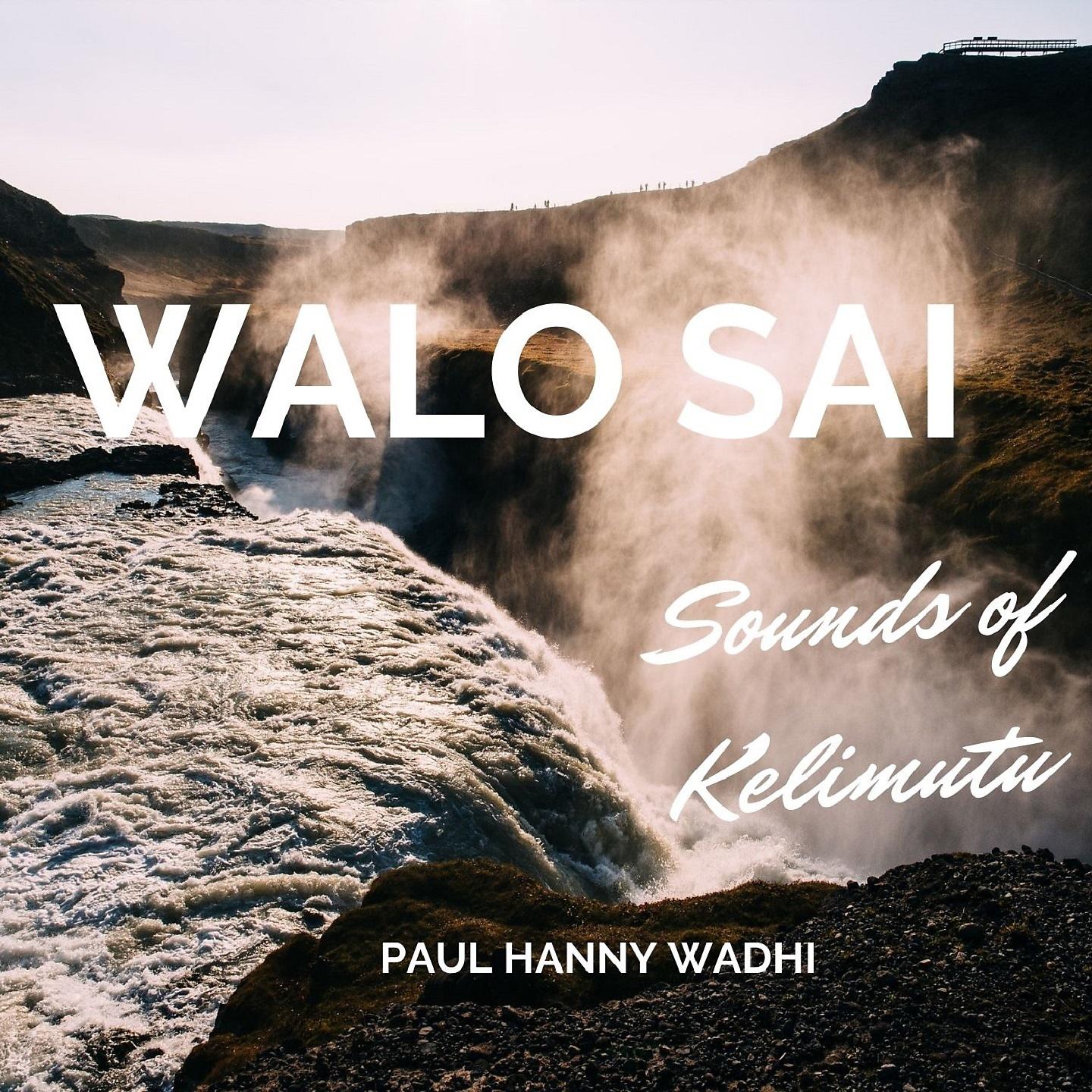 Постер альбома Walo Sai
