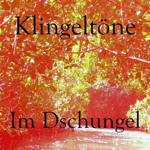 Постер альбома Im dschungel klingeltöne