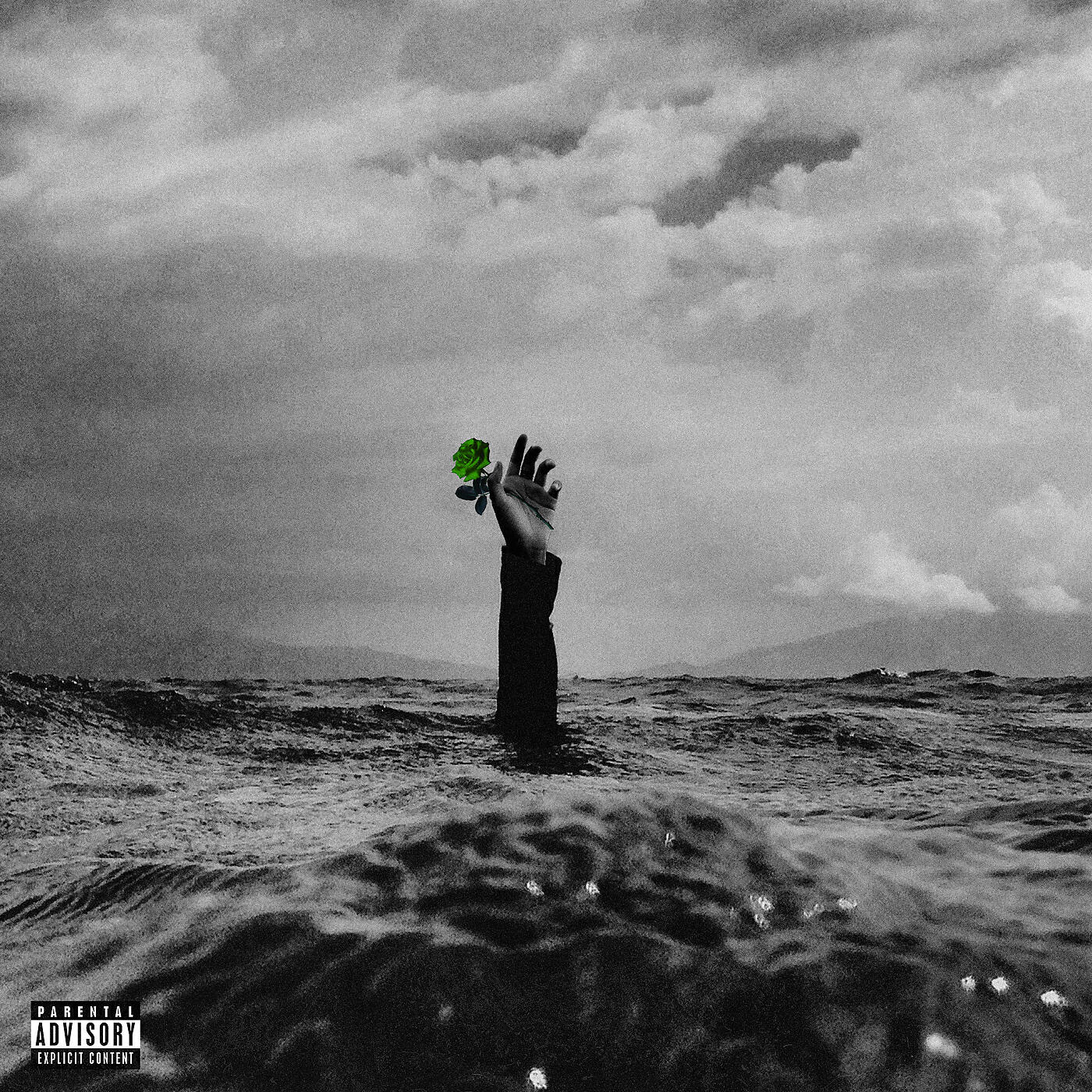 Yoshi Flower - Rolling Thunder