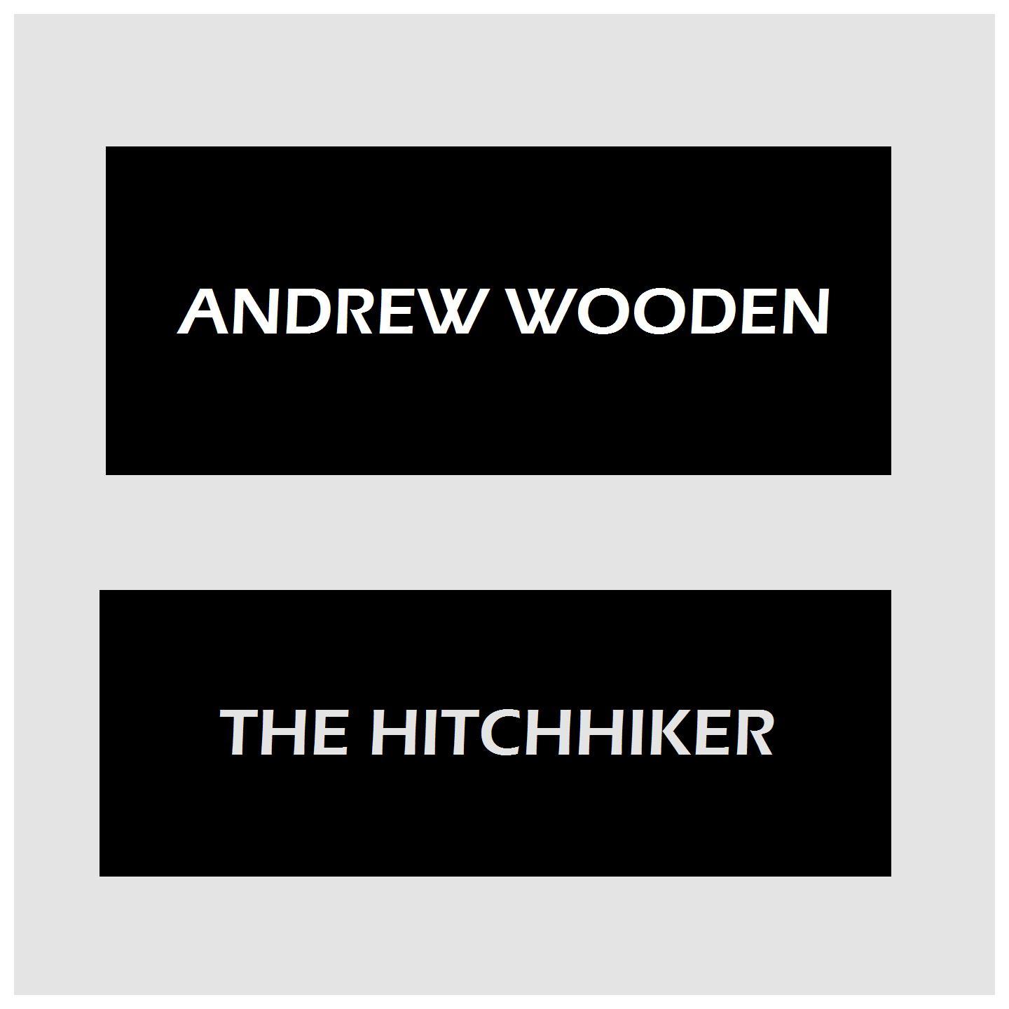 Постер альбома The Hitchhiker