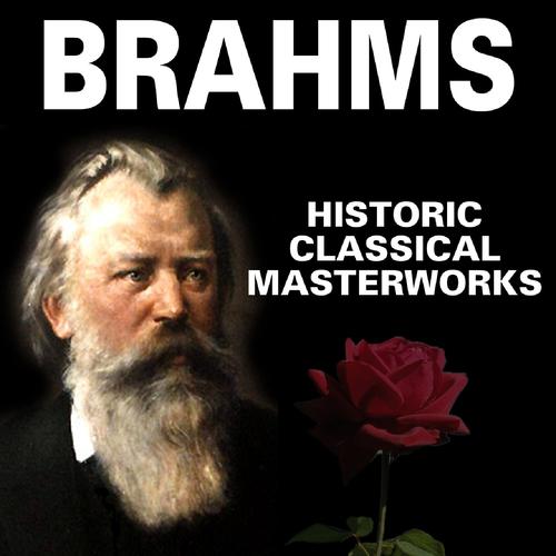 Постер альбома Die grossen Meister der Klassik (Johannes Brahms)