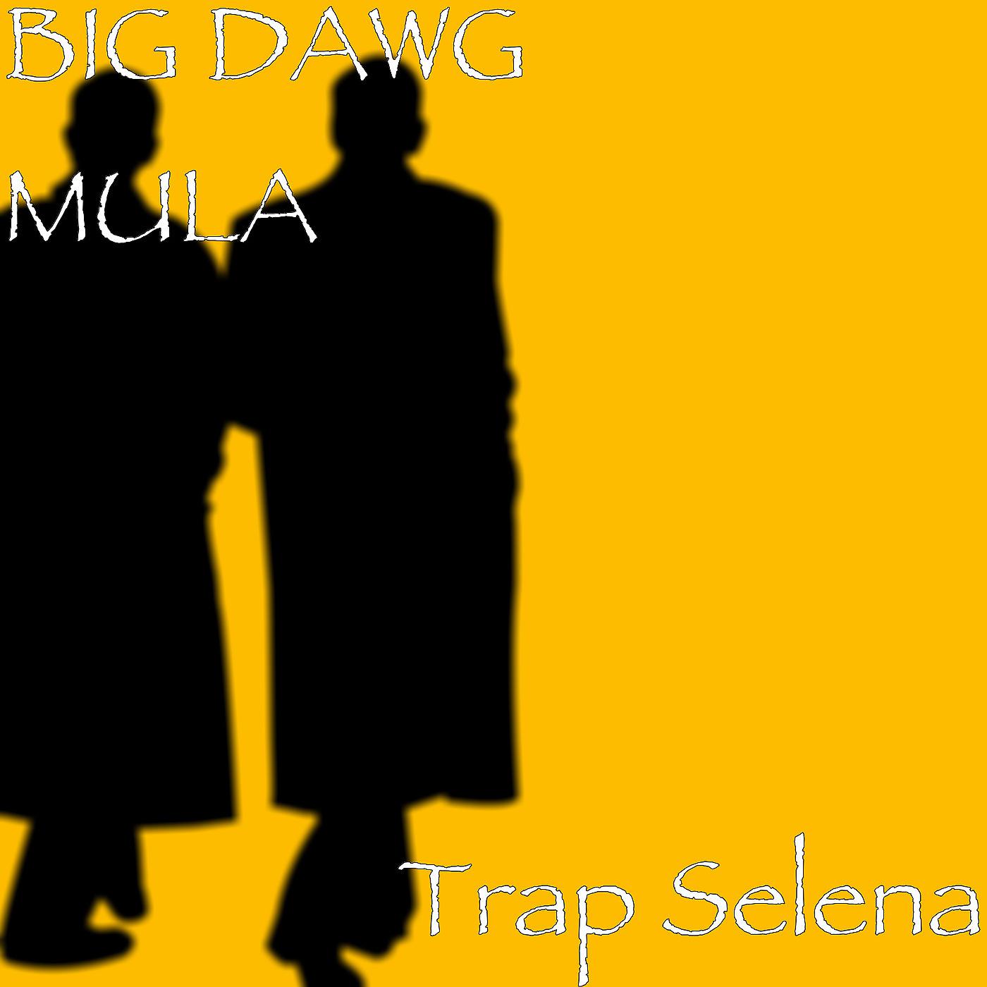 Постер альбома Trap Selena