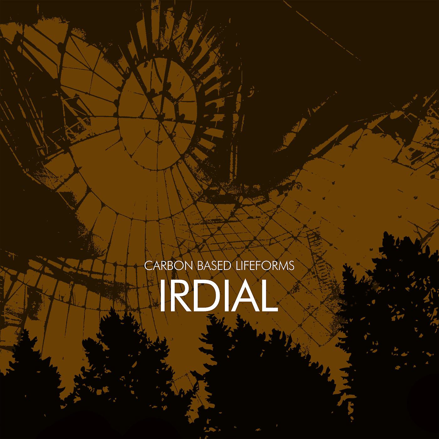 Постер альбома Irdial