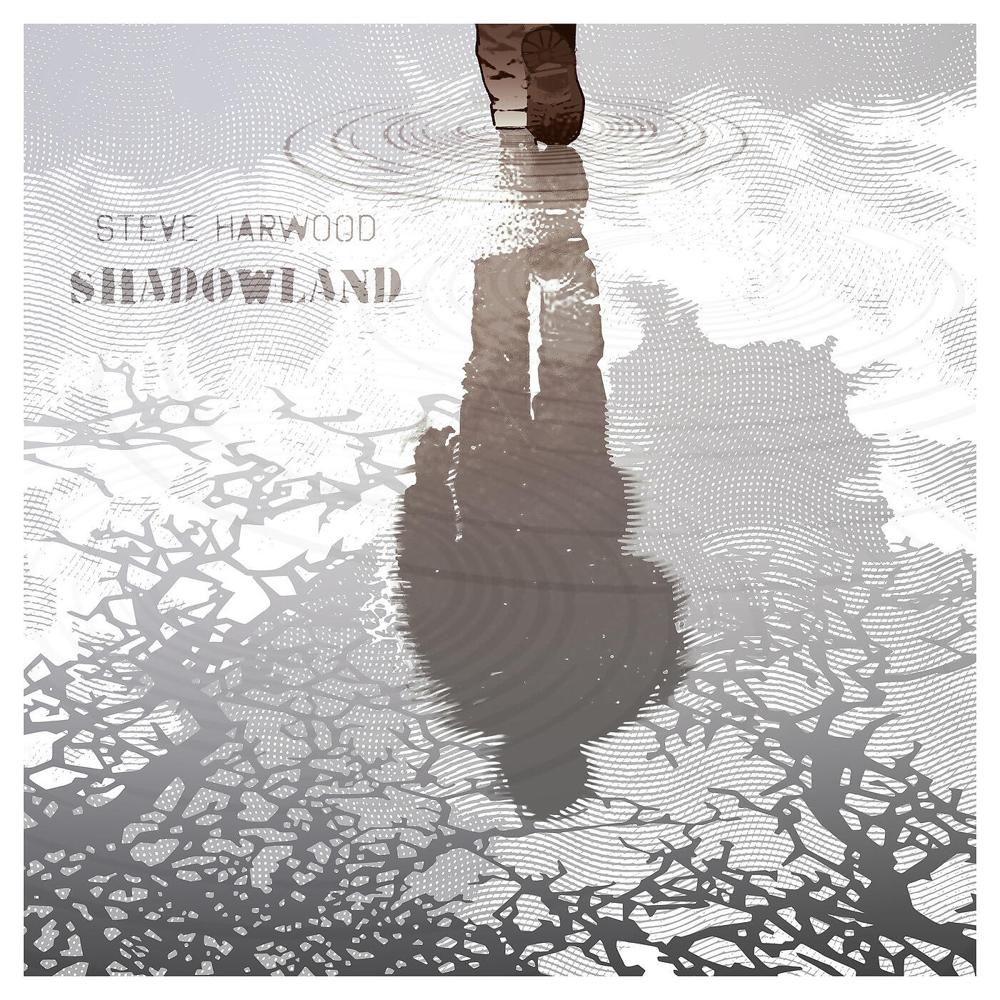 Steve Harwood - Shadowland
