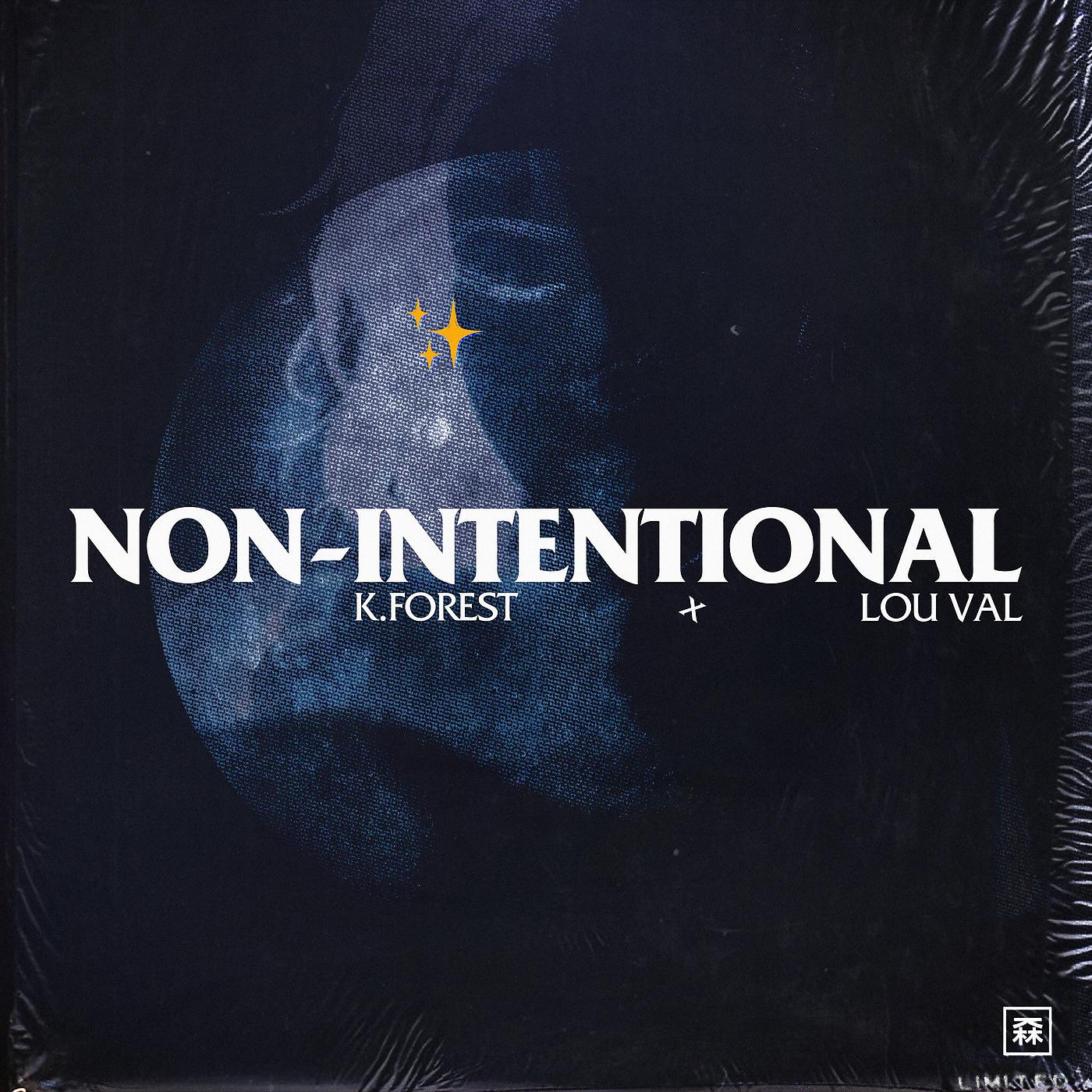 Постер альбома Non-Intentional (feat. Lou Val)