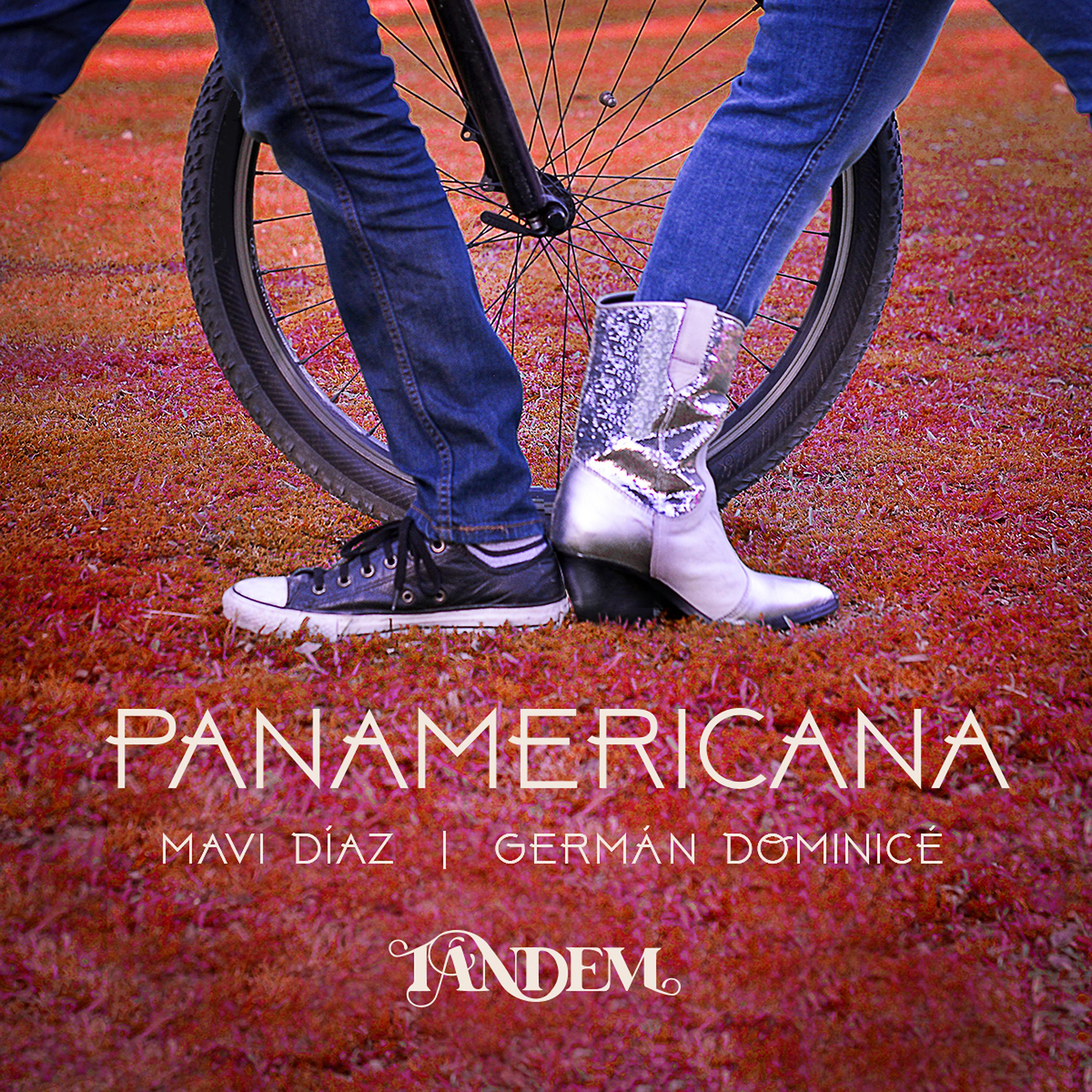 Постер альбома Panamericana
