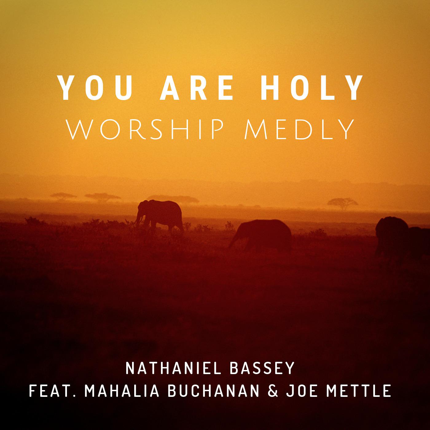 Постер альбома You Are Holy (Worship Medly)