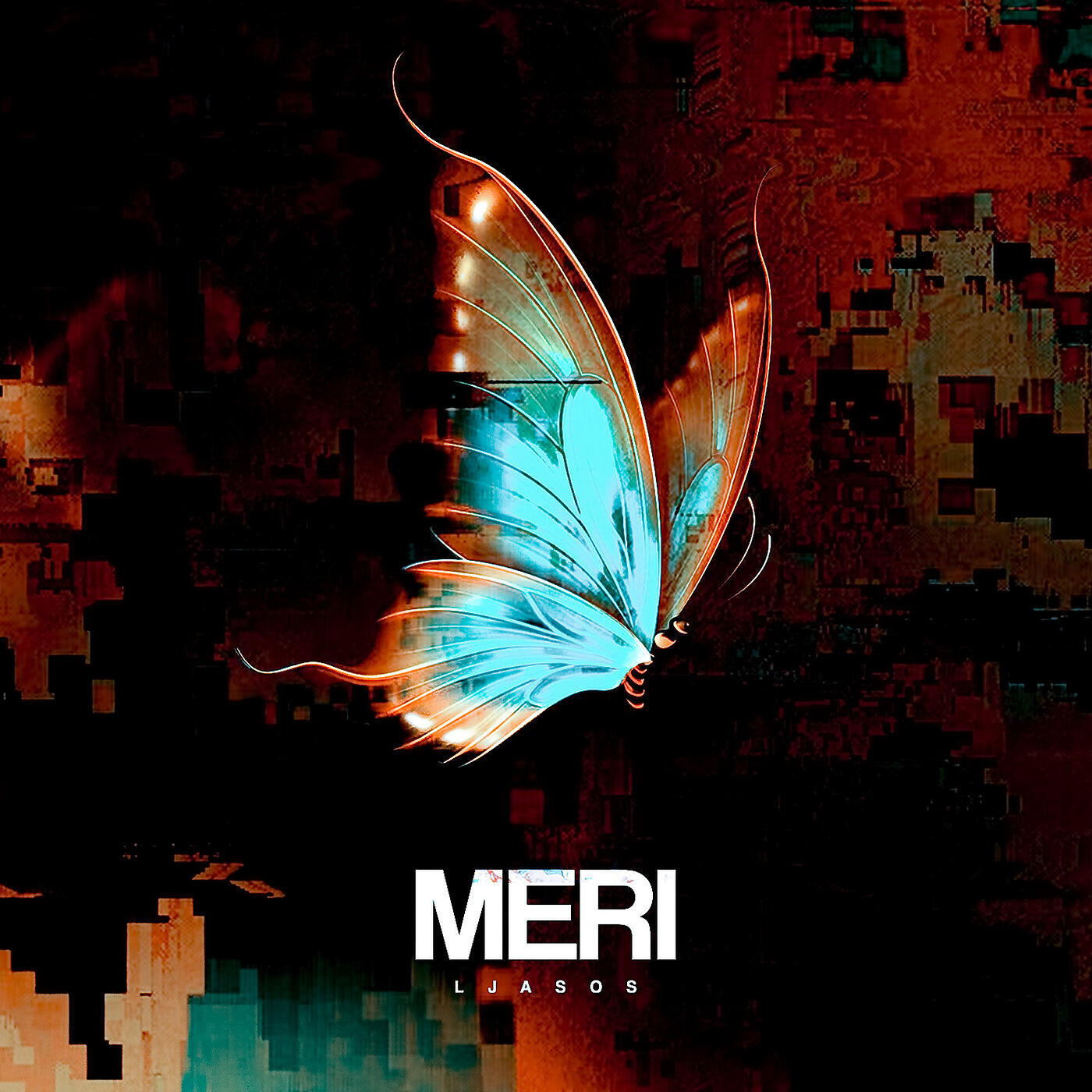 LJASOS - Meri