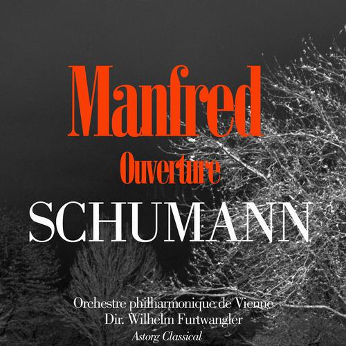 Постер альбома Schumann : Ouverture de Manfred