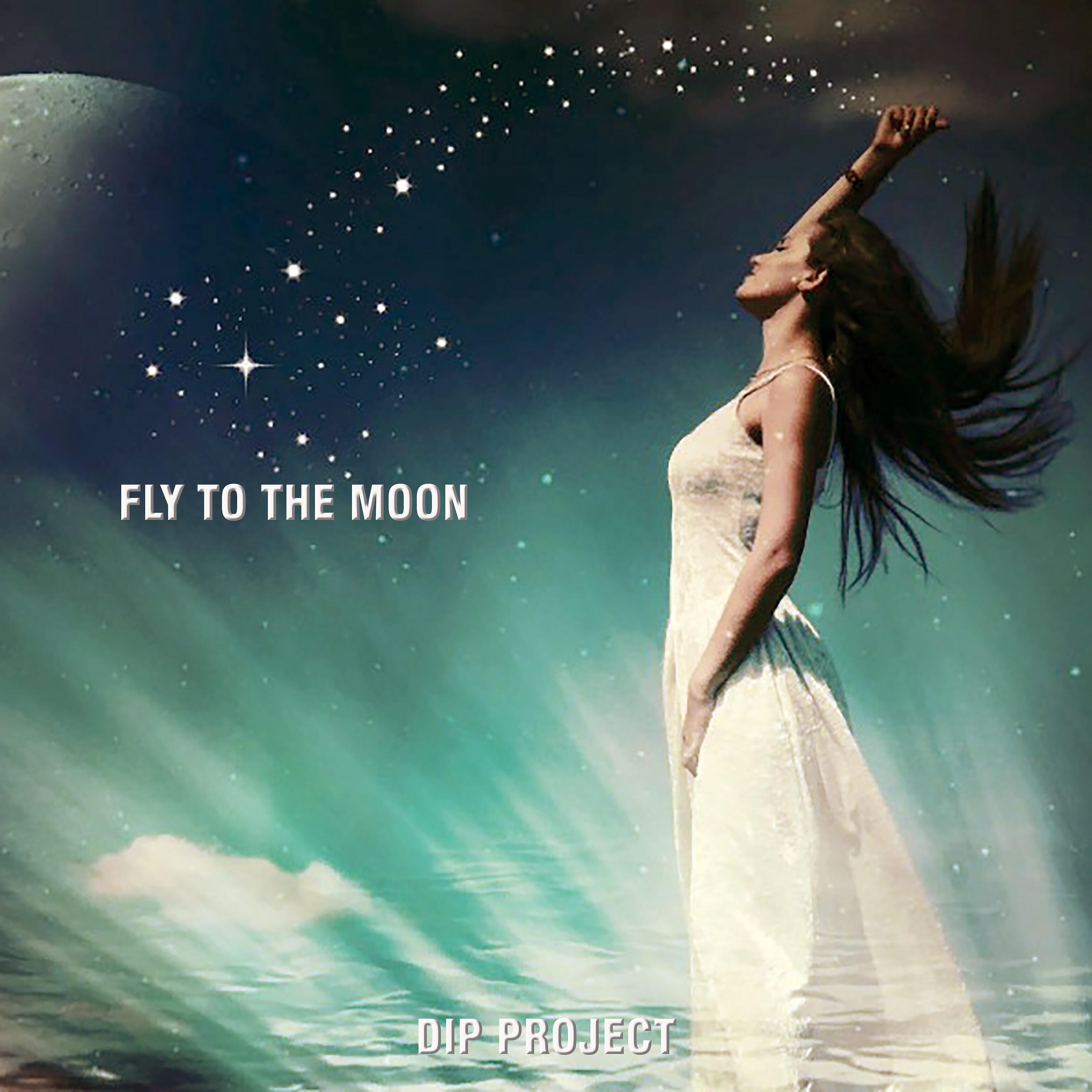 DIP PROJECT - Fly to the Moon