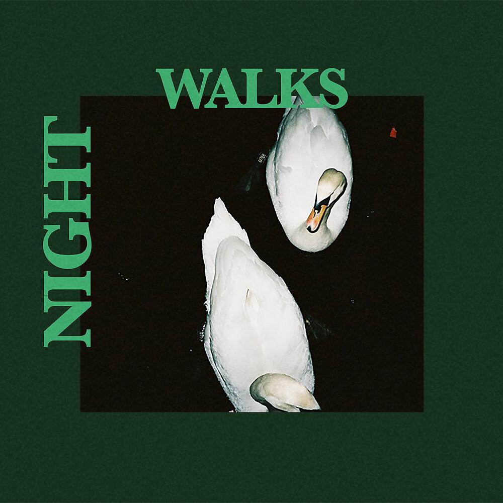 Постер альбома Night Walks