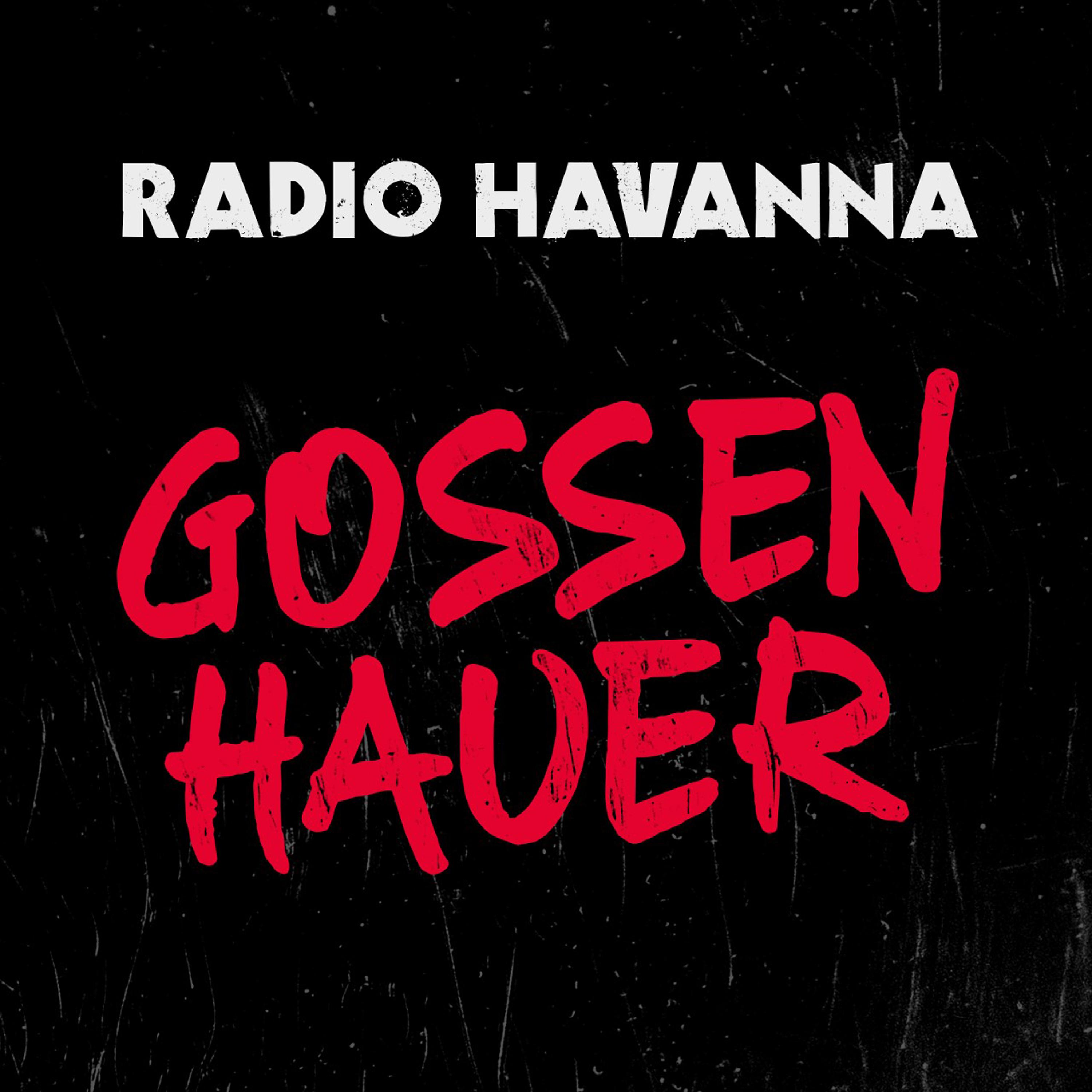 Radio Havanna - Verdammt ich lieb dich