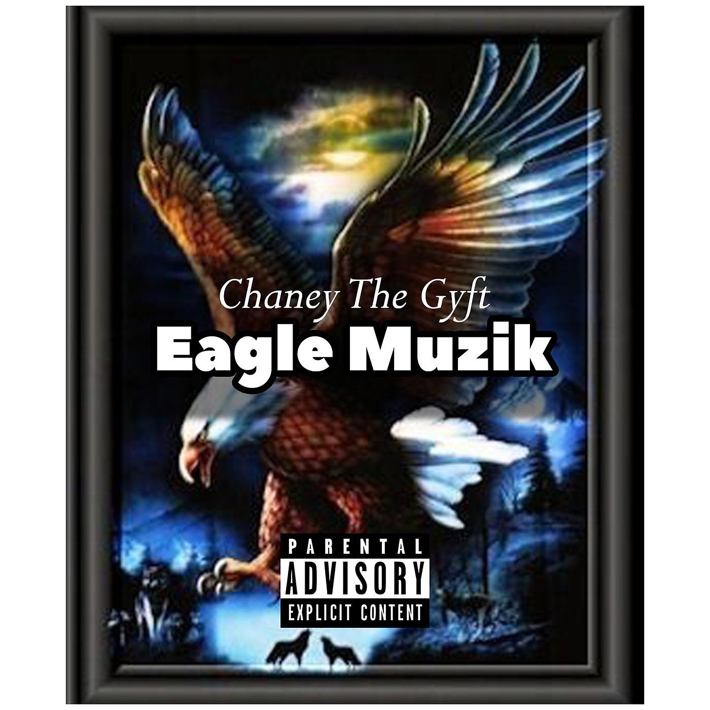 Постер альбома Eagle Muzik
