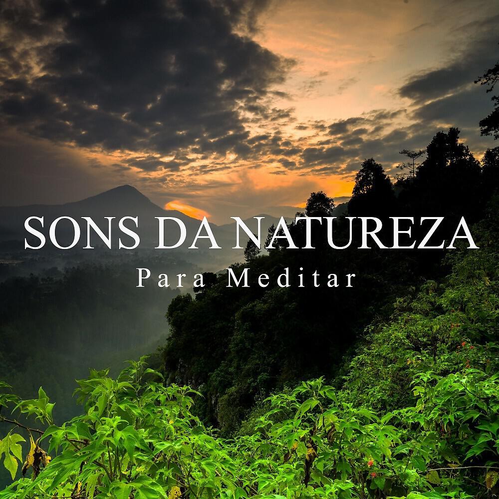 Meditação Música Ambiente - Sons da Natureza para Meditar, Pt. 40
