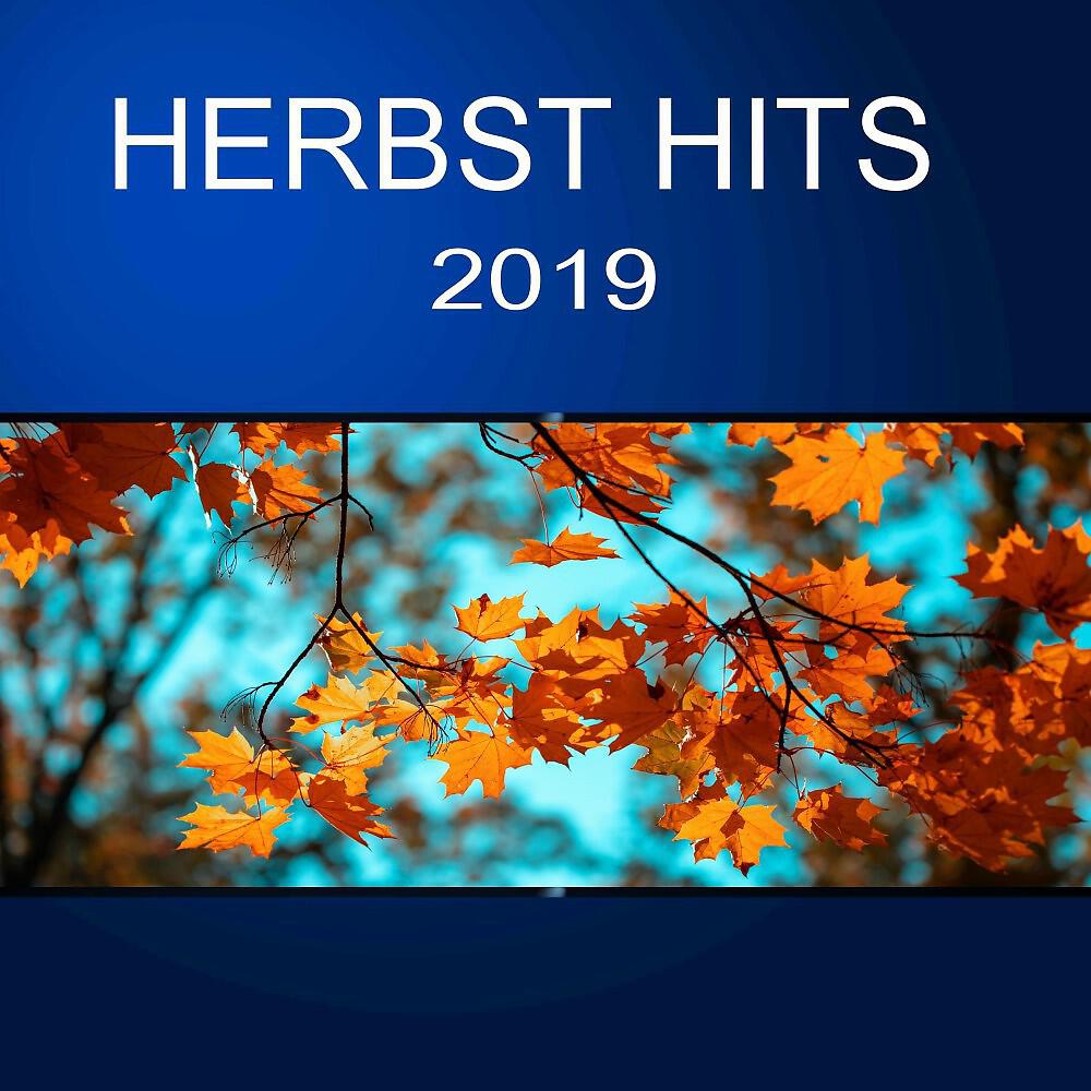 Yvonne Held - Herzen haben keine Fenster