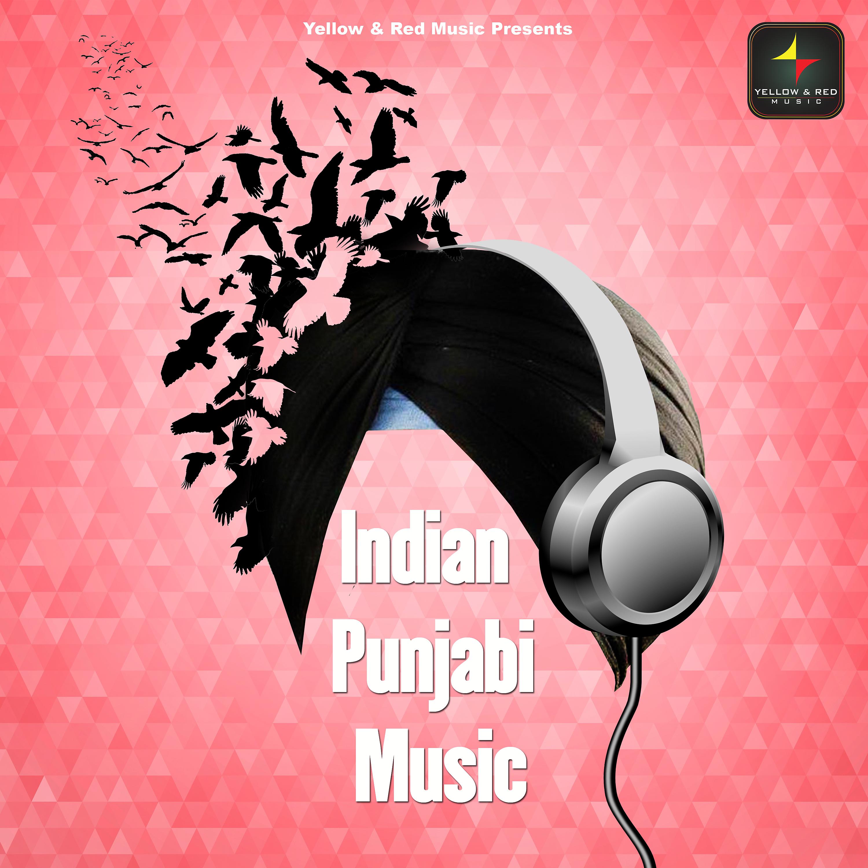 Постер альбома Indian Punjabi Music