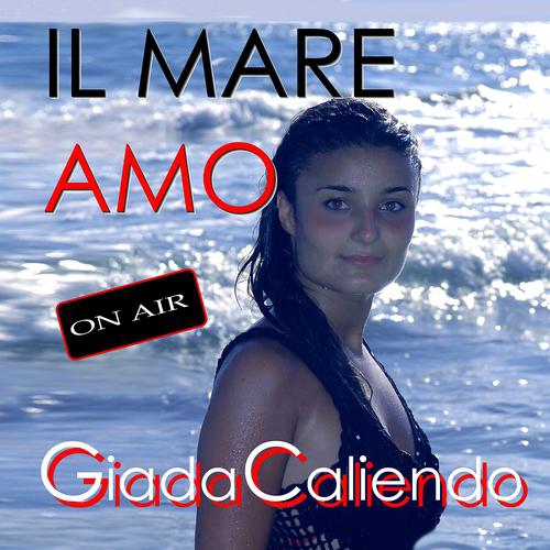 Постер альбома Il mare / Amo