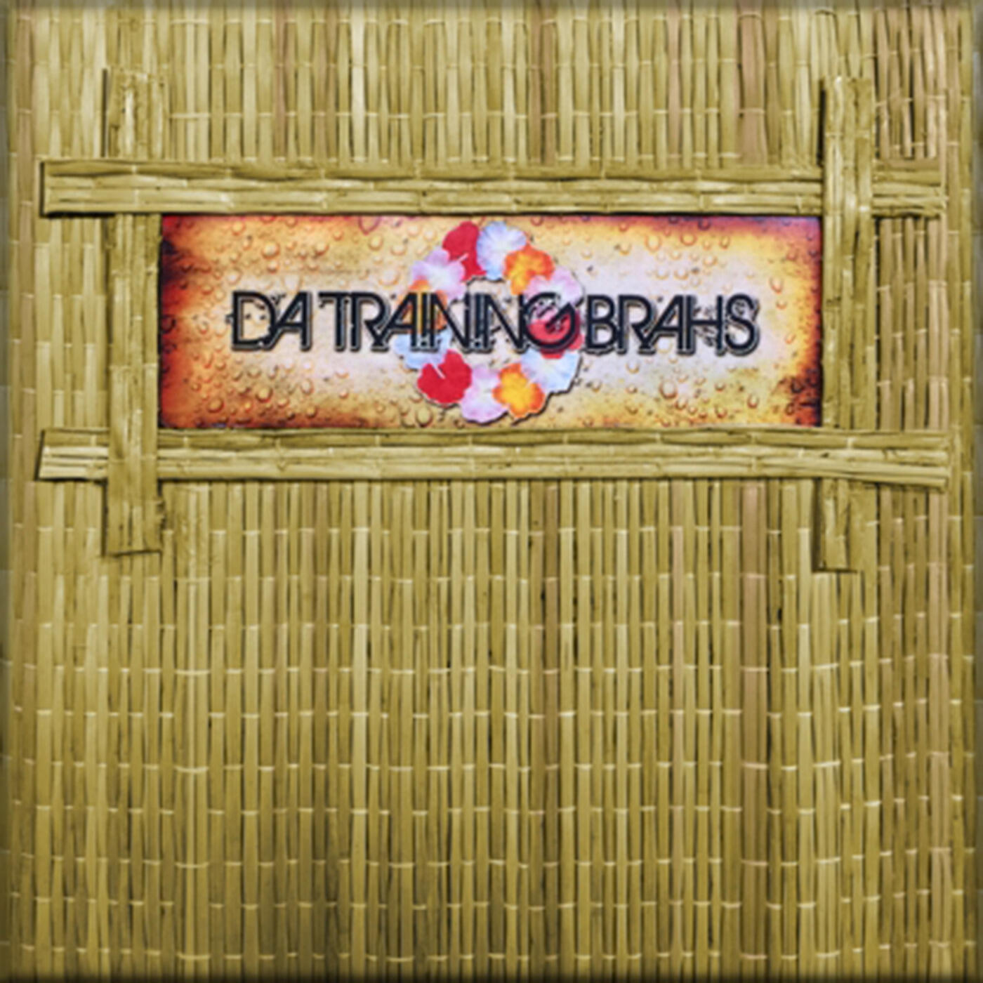 Da Training Brahs - Backfire