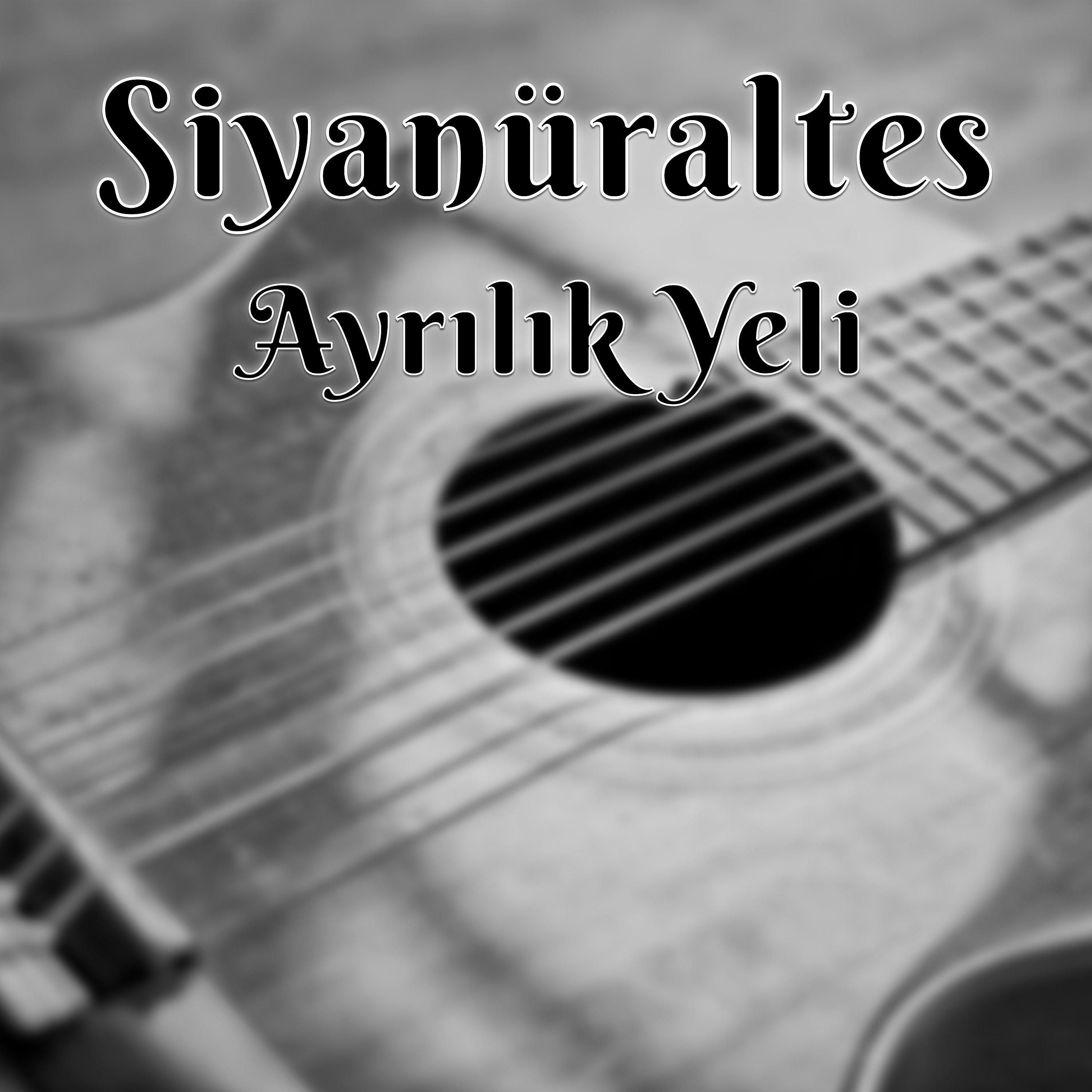 Постер альбома Ayrılık Yeli