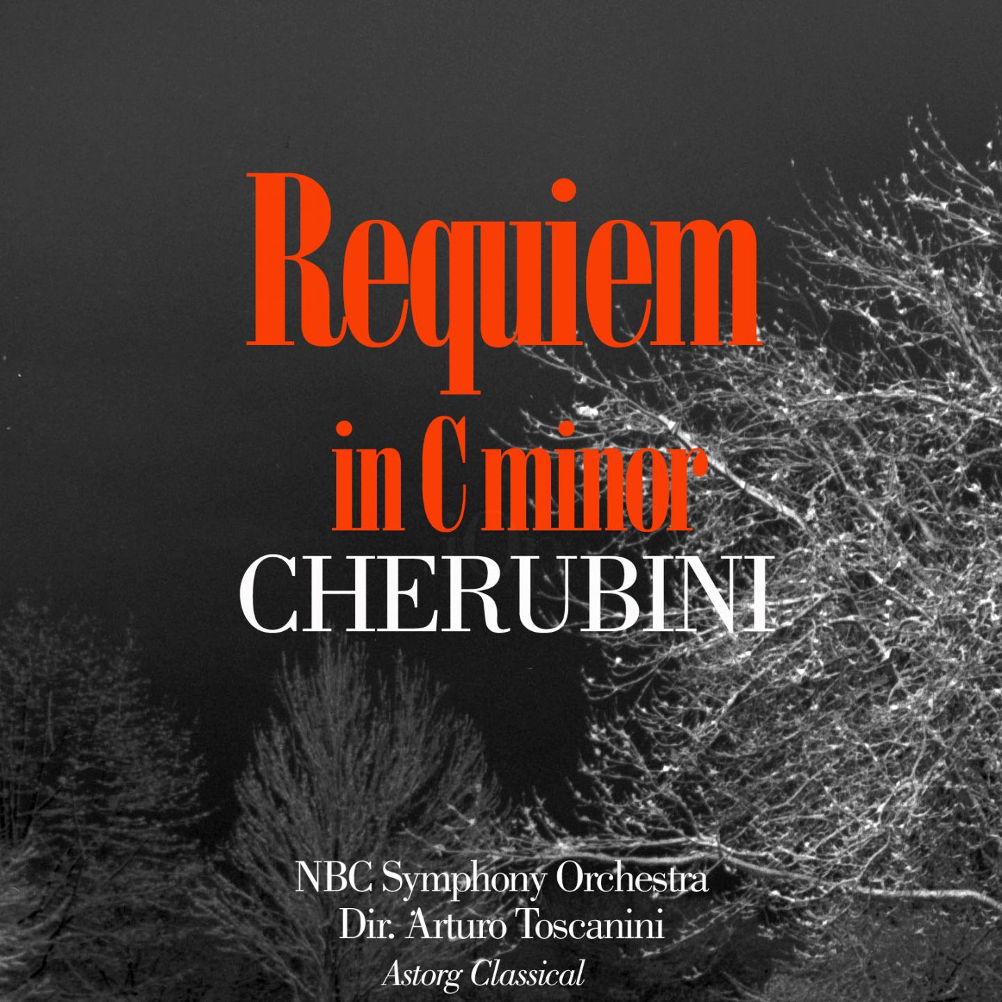 Постер альбома Cherubini : Requiem In C Minor