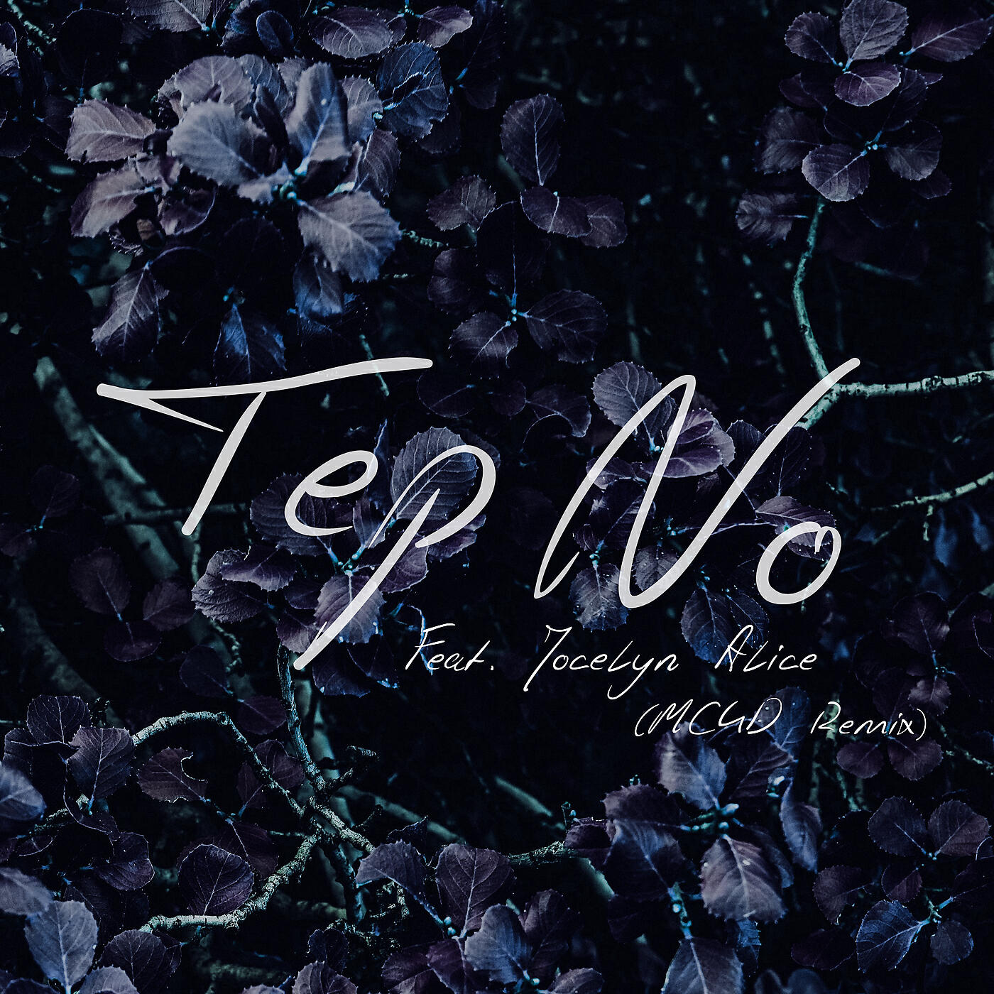 Tep No - Never Been Hurt Before (MC4D Remix)