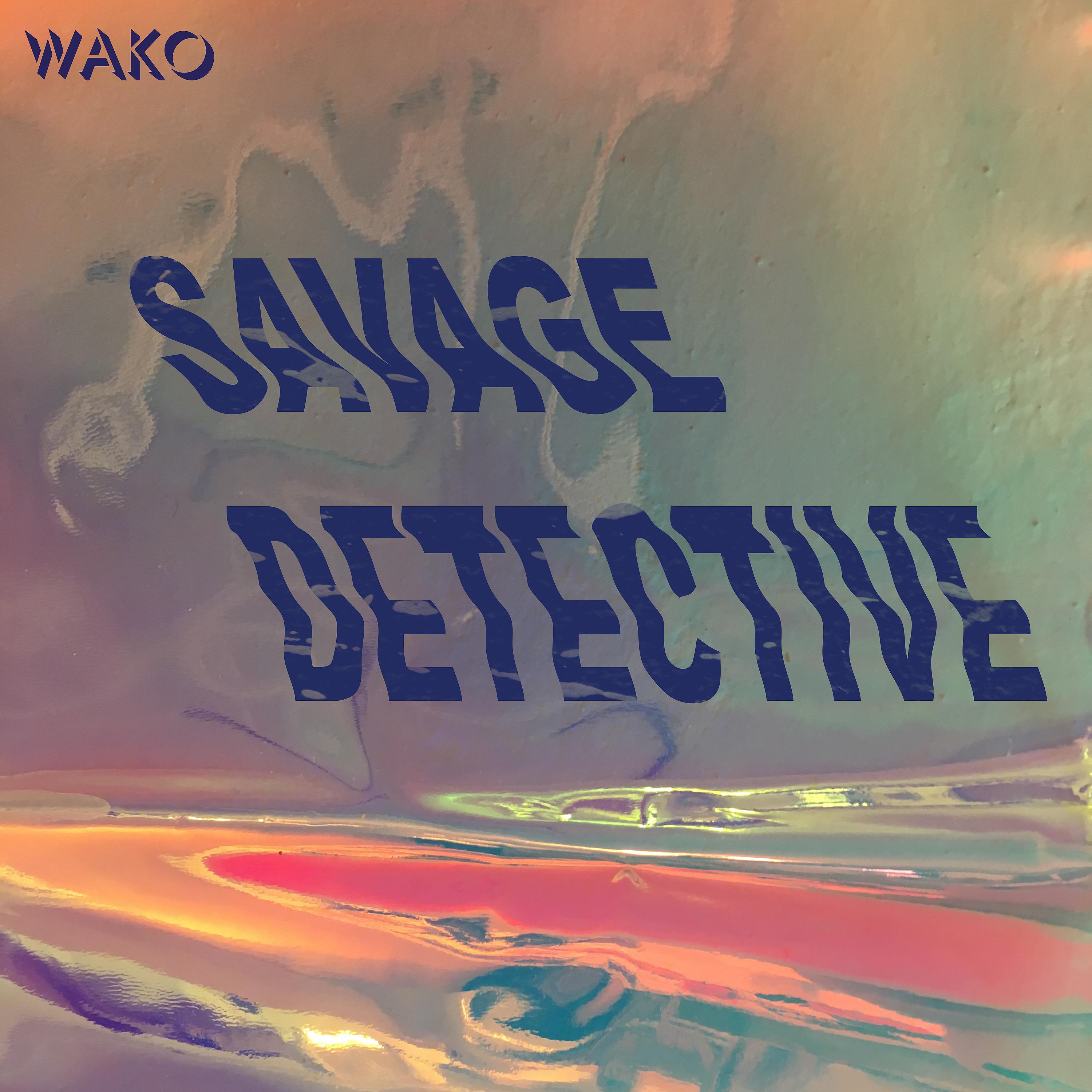 Постер альбома Savage Detective