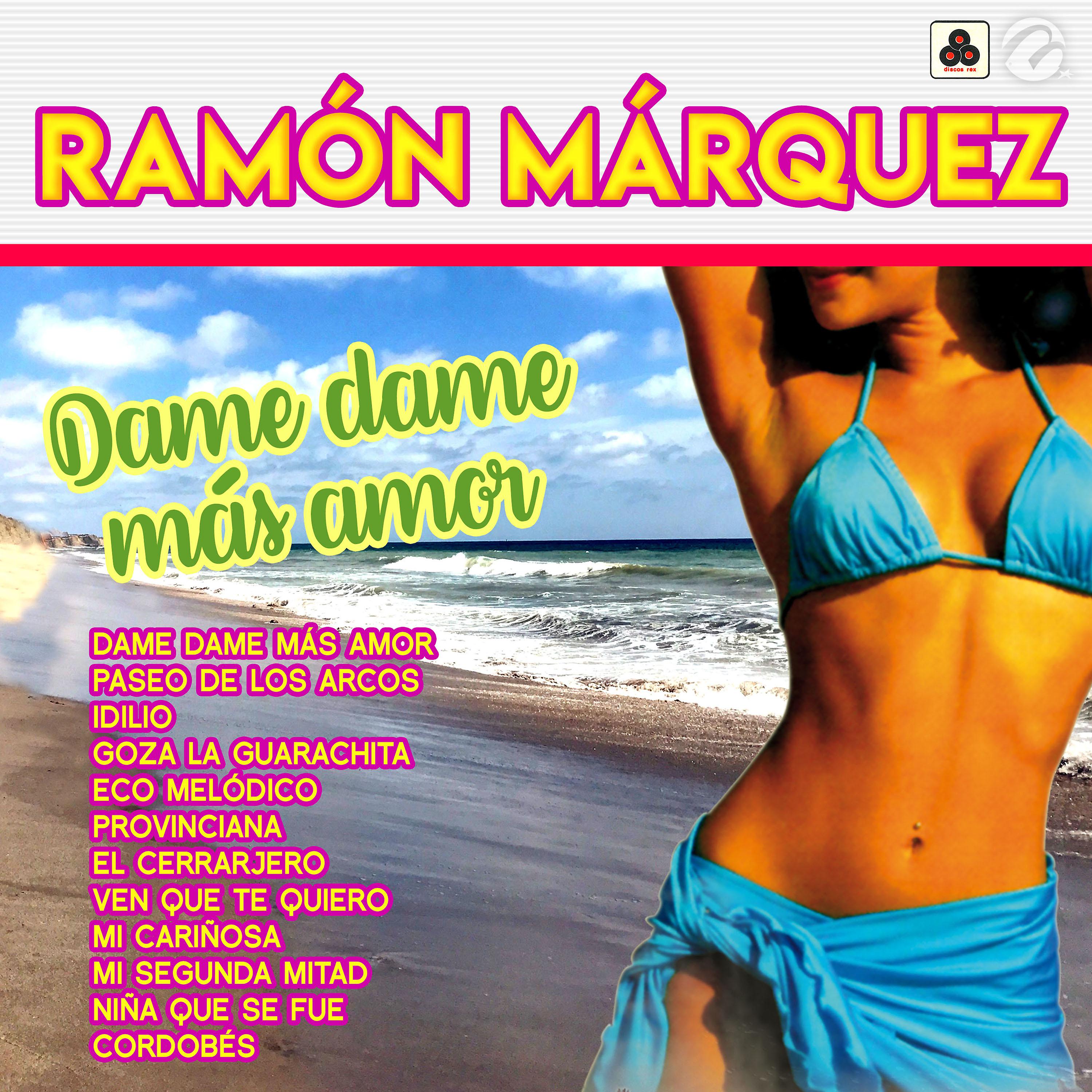 Постер альбома Dame Dame Más Amor