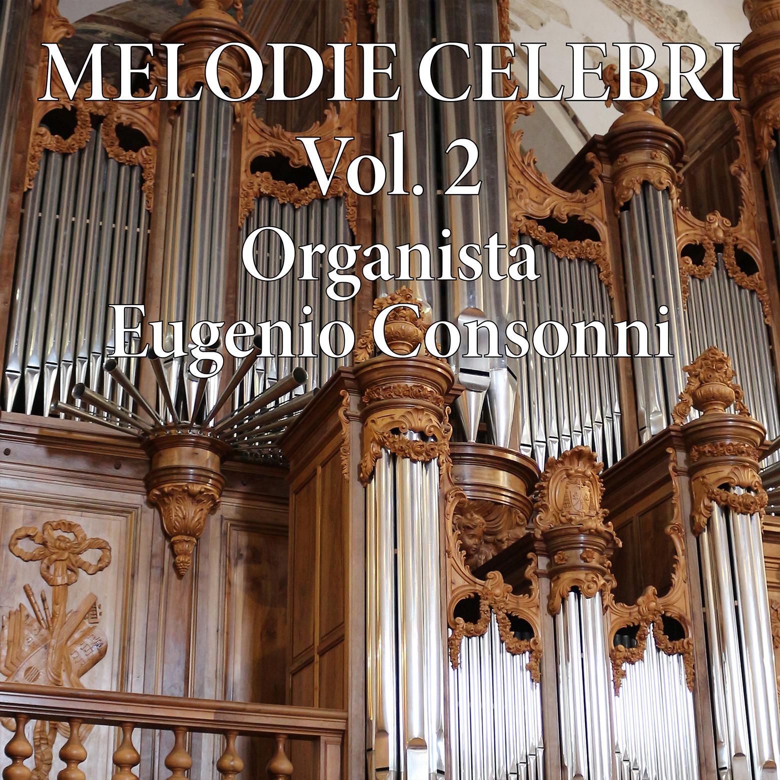 Постер альбома Melodie celebri per organo, Vol. 2