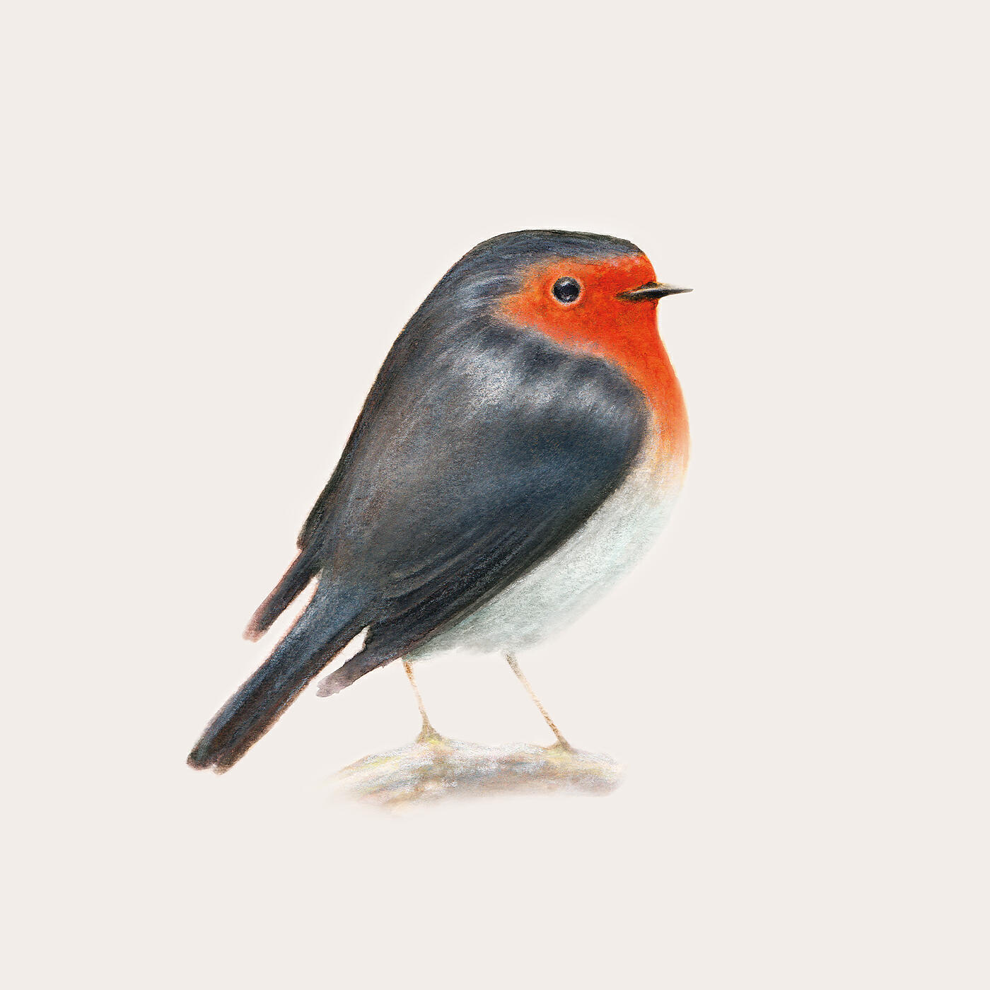 Brunori Sas - Bello appare il mondo