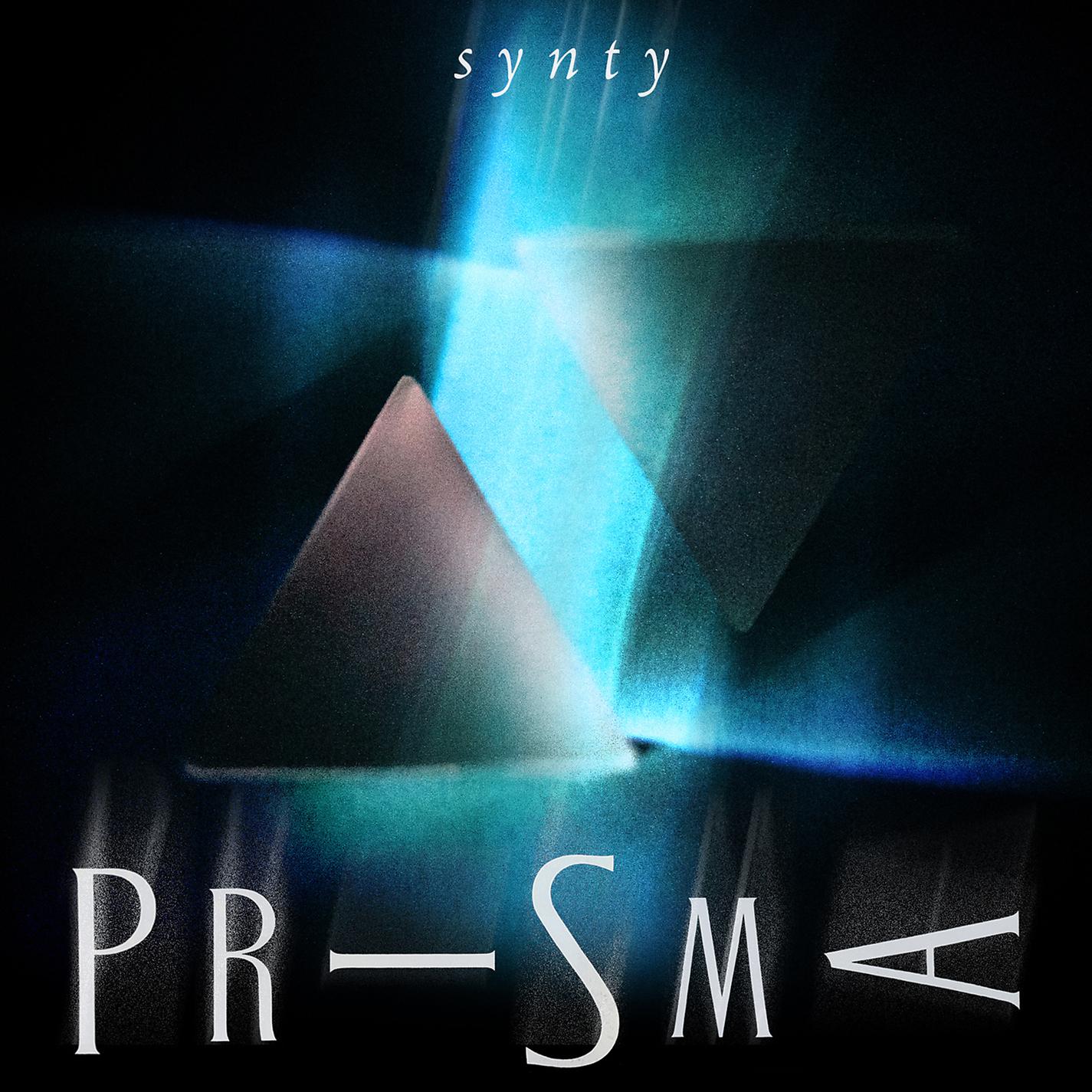 Постер альбома Synty